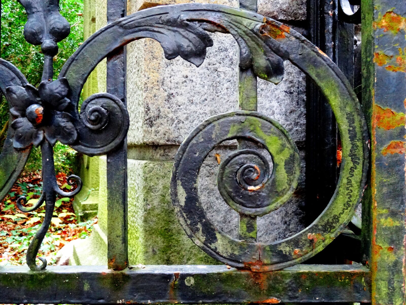 Sony Cyber-shot DSC-HX50V sample photo. Iron gate, wrought iron photography