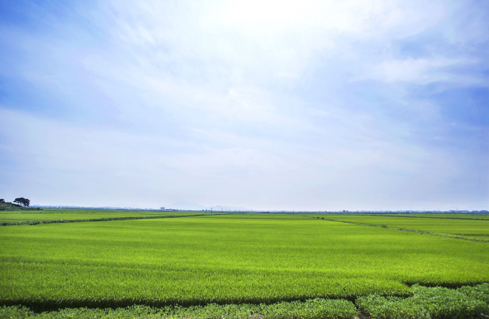 Canon EF 17-40mm F4L USM sample photo. Boreas, rice paddies, landscape photography
