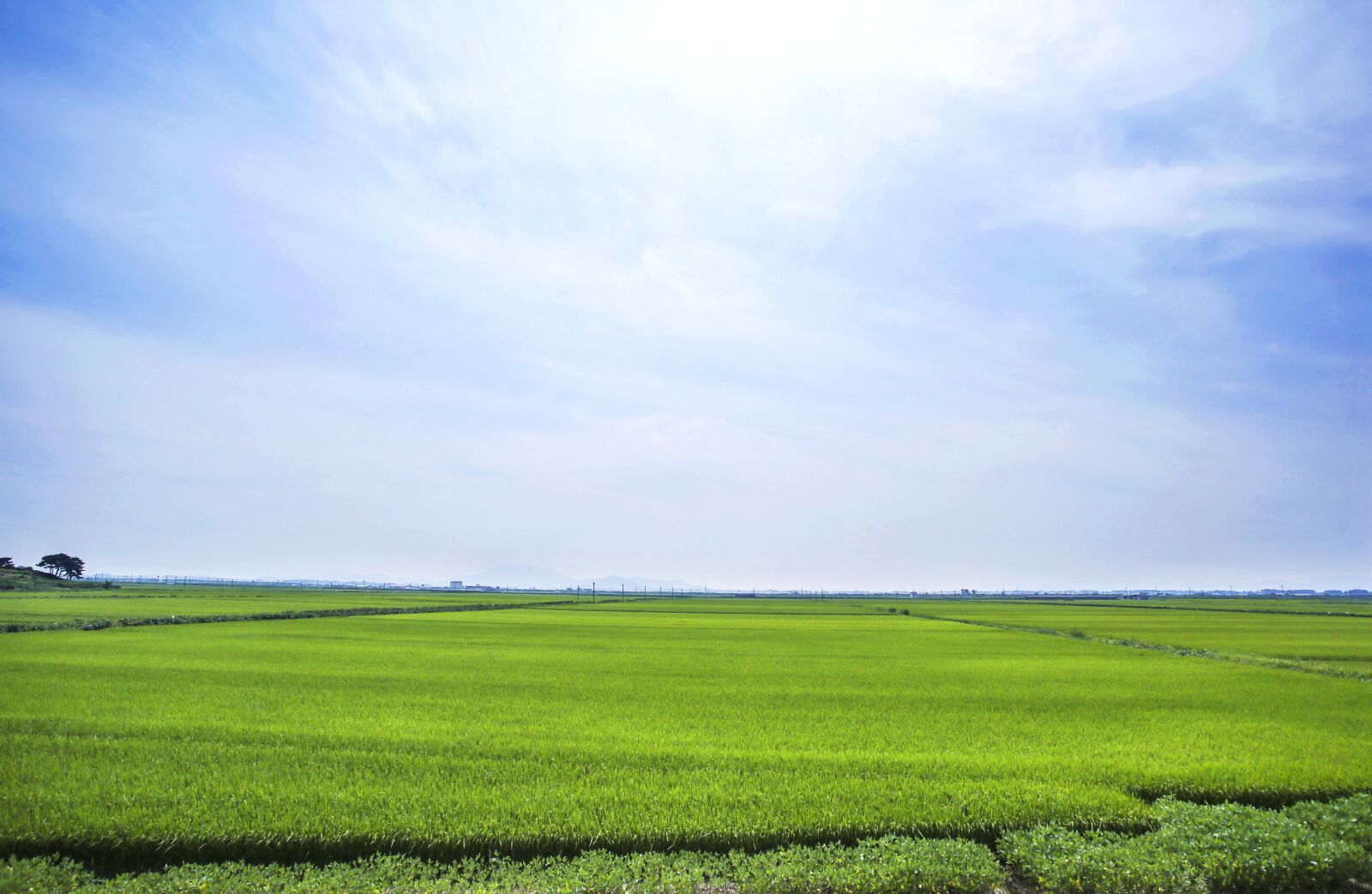 Canon EOS 5D Mark III + Canon EF 17-40mm F4L USM sample photo. Boreas, rice paddies, landscape photography