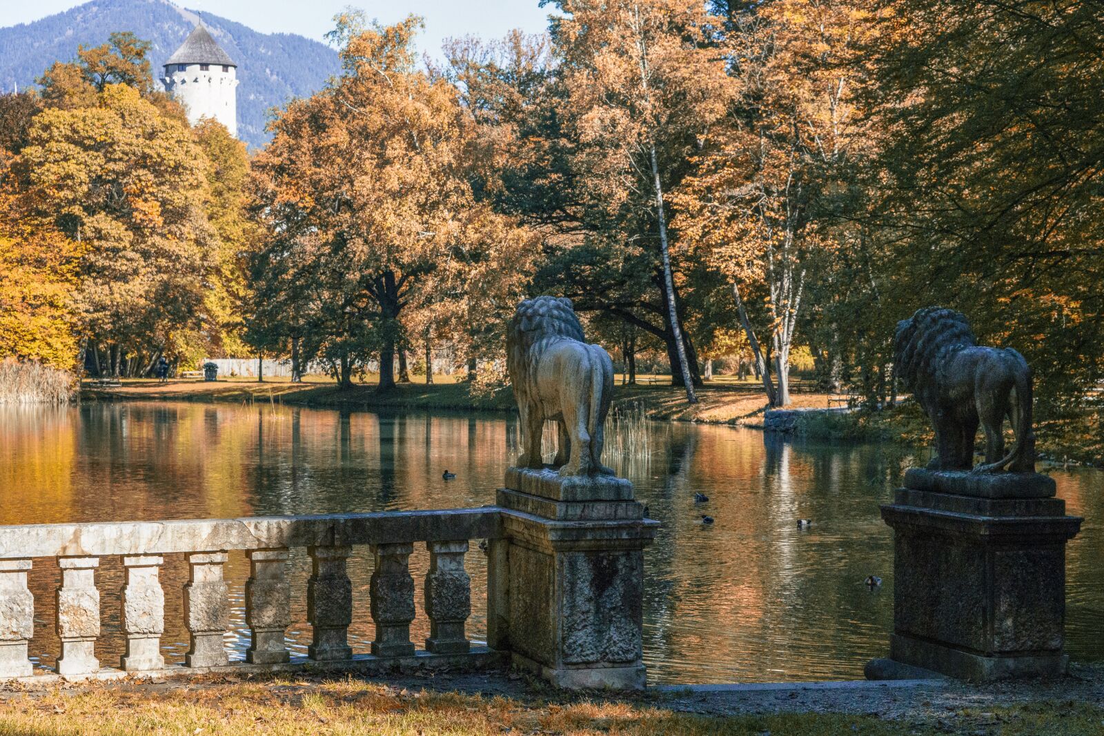 E 50mm F1.8 OSS sample photo. Autumn, leaves, nature photography