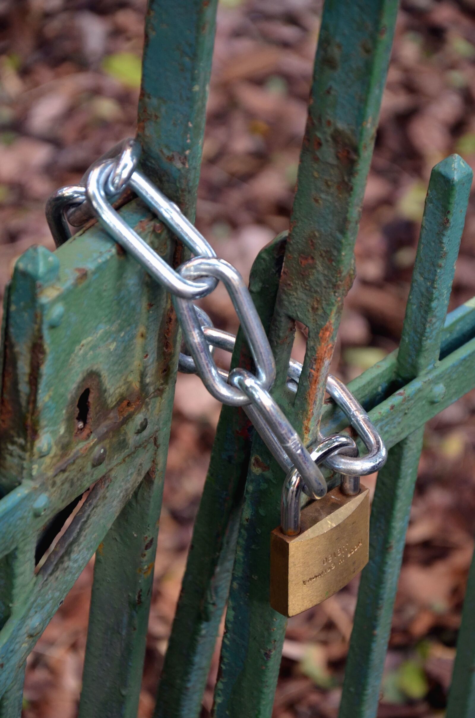 Nikon D5100 sample photo. Metal, door, lock, padlock photography