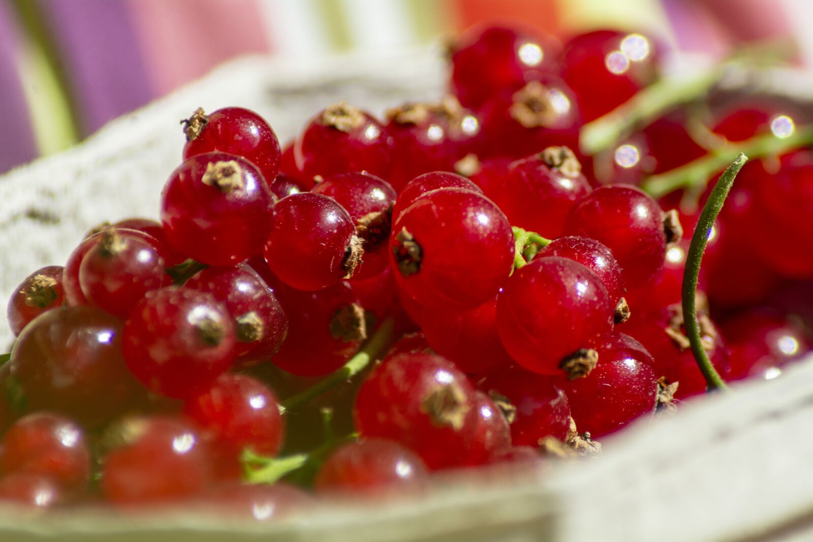 Nikon D7100 sample photo. Currant, berry, currants photography