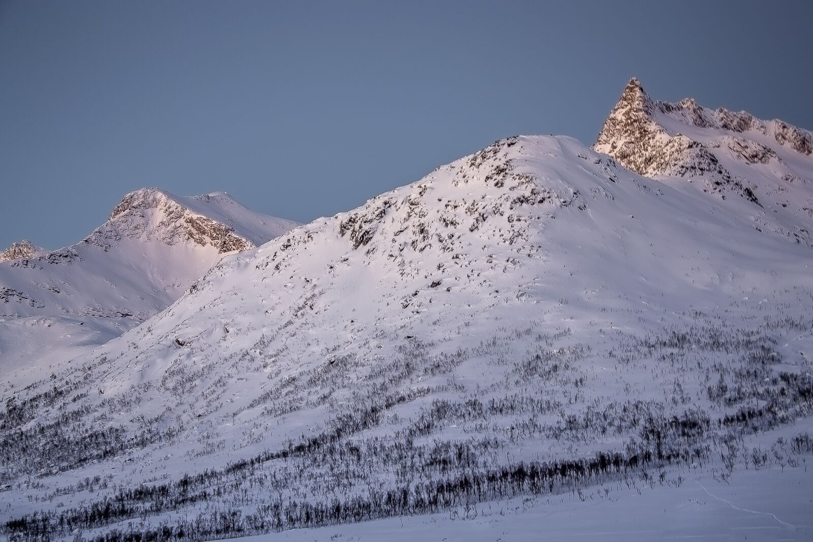 Nikon D3100 sample photo. Mountains, snow, white photography