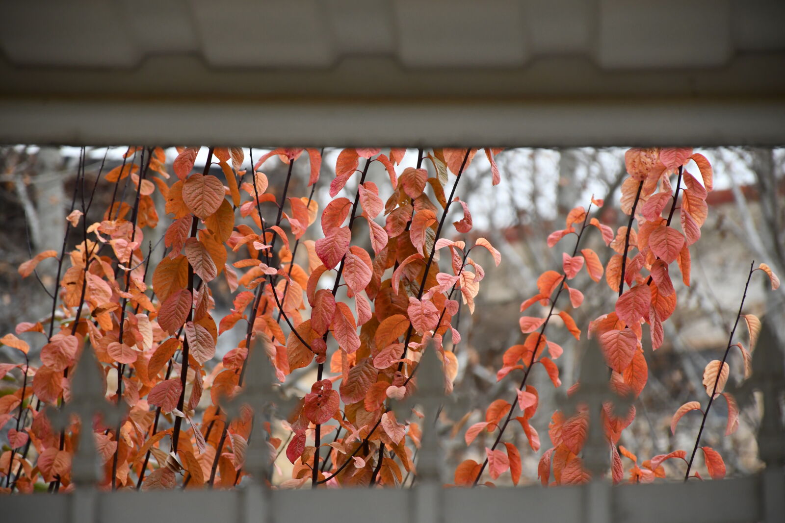 Nikon D7500 sample photo