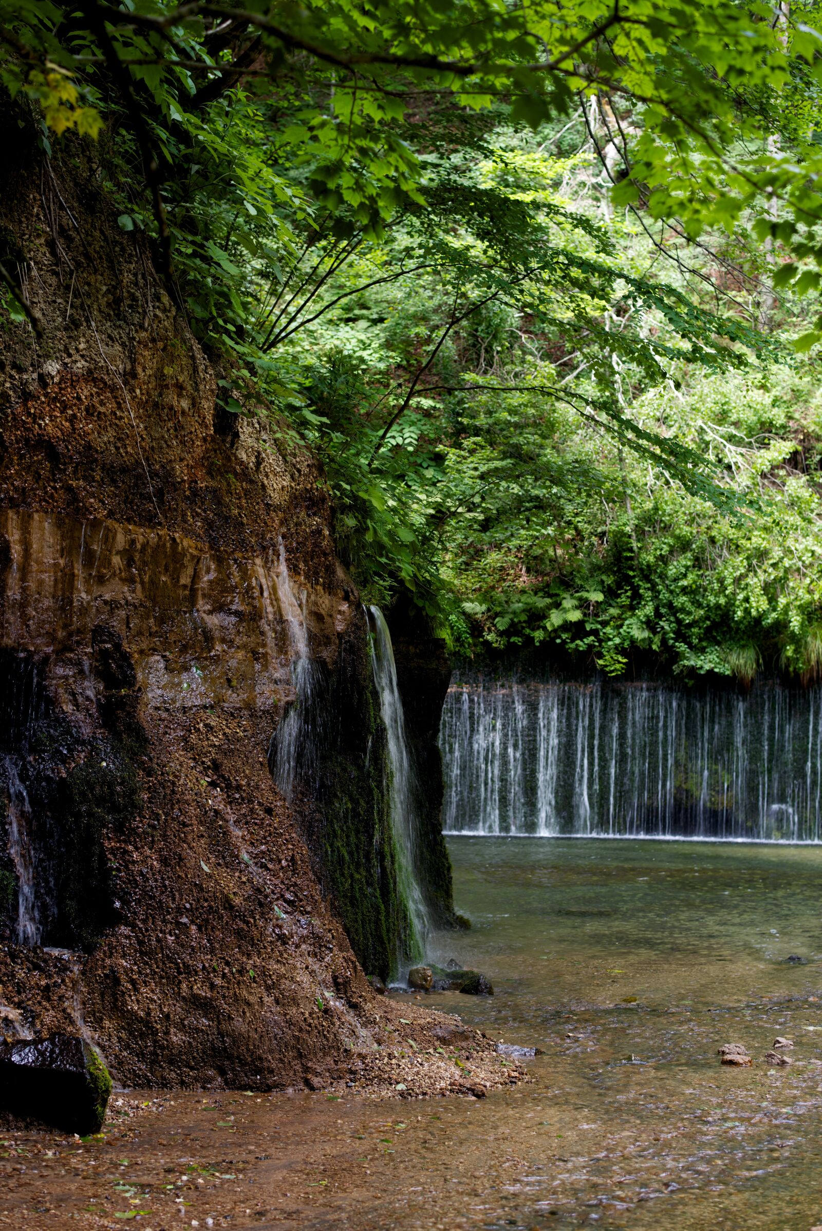 Nikon D800E sample photo. Fall, japan, natural photography