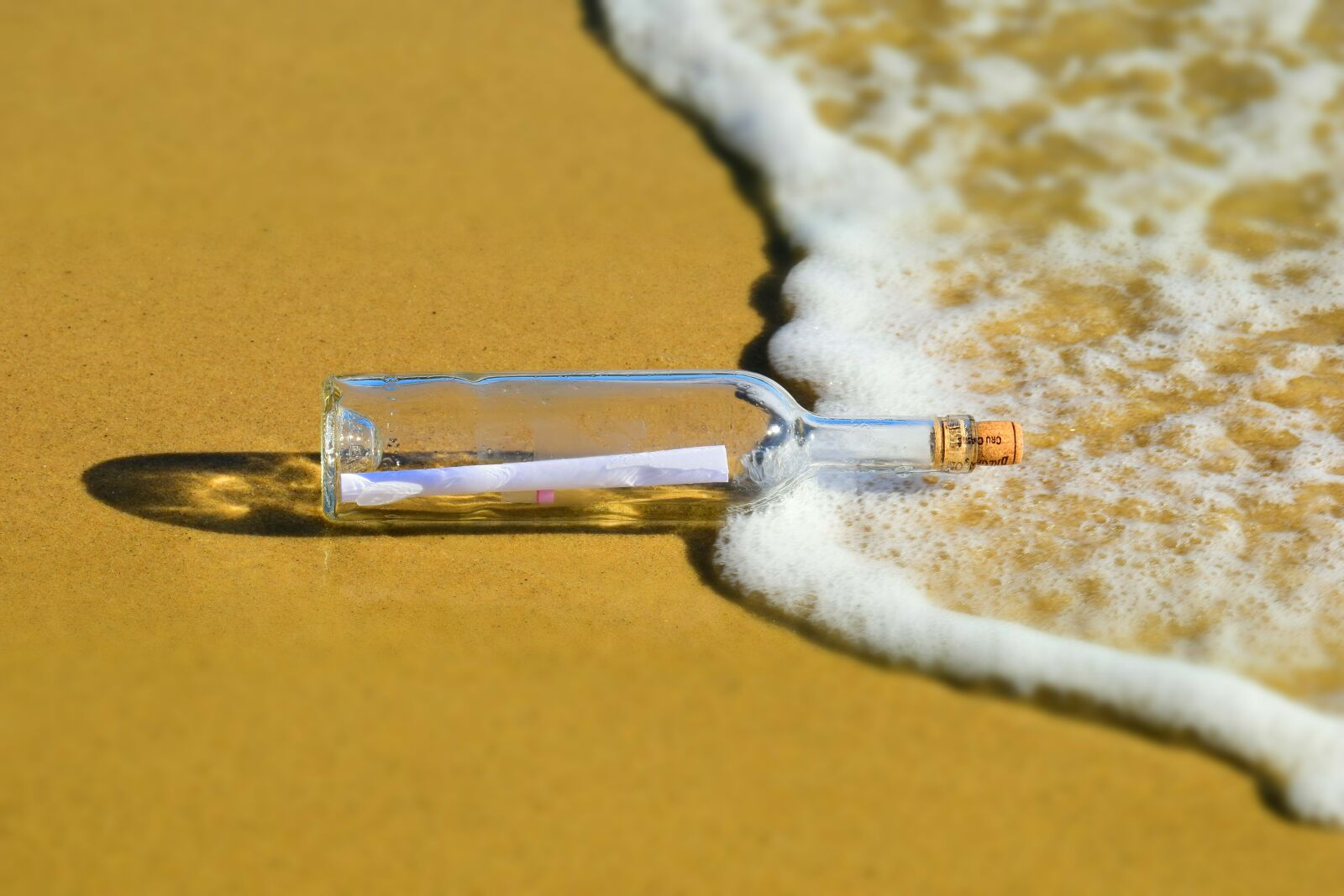 Nikon D5500 sample photo. Message in a bottle photography
