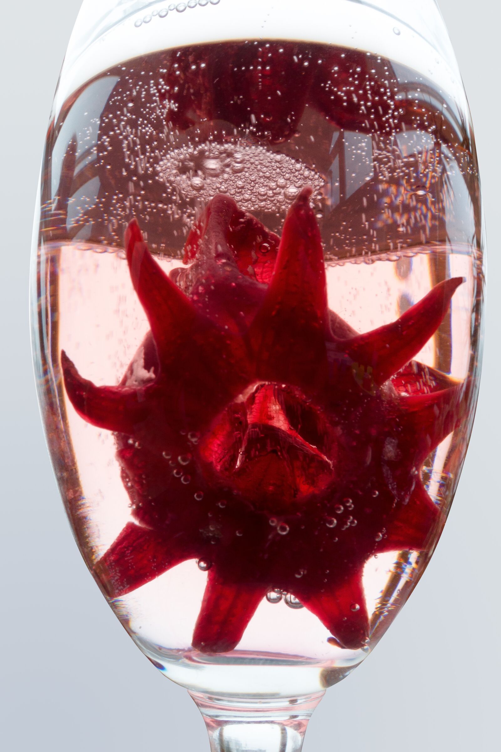 Sony Cyber-shot DSC-RX100 III sample photo. Champagne, champagne glass, hollyhock photography
