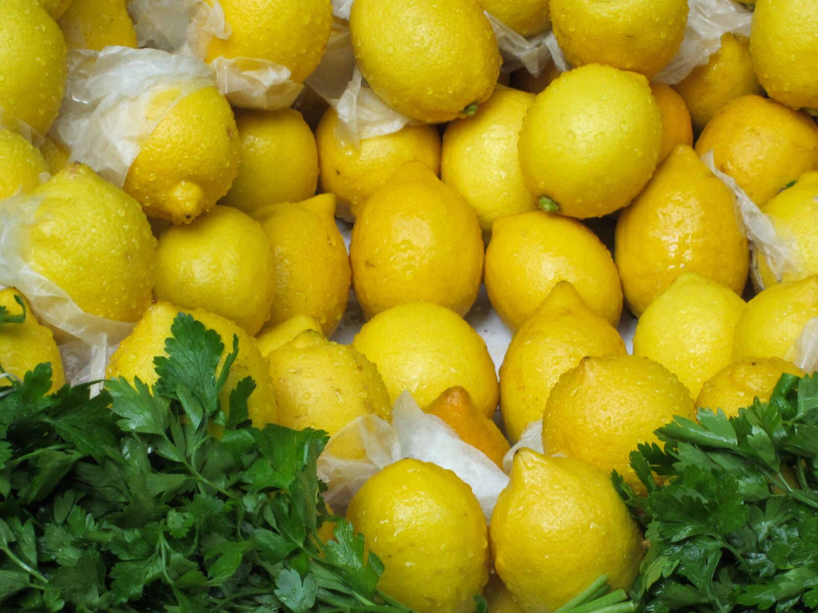 Canon PowerShot SD1300 IS (IXUS 105 / IXY 200F) sample photo. Lemon, citrus fruit, yellow photography
