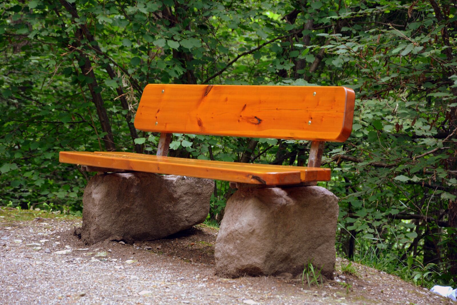 Nikon D7100 sample photo. Bench, nature, wood photography