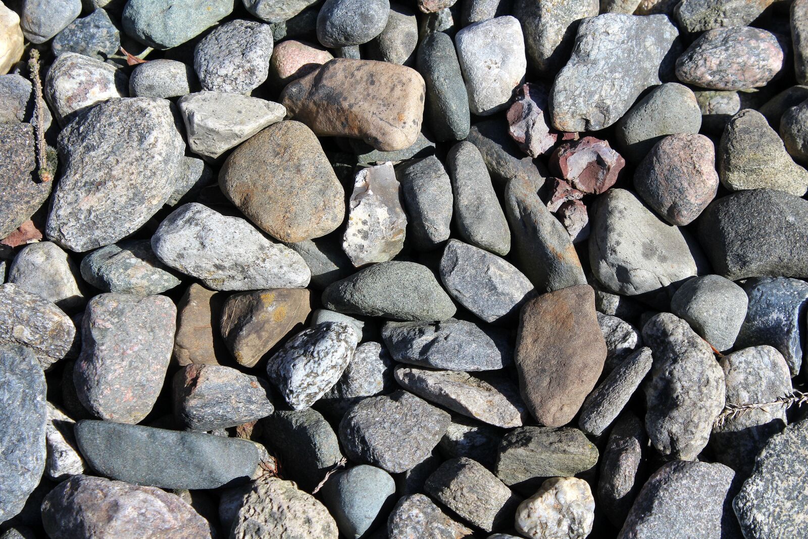 Canon EOS 1200D (EOS Rebel T5 / EOS Kiss X70 / EOS Hi) sample photo. Rock, stone, texture photography