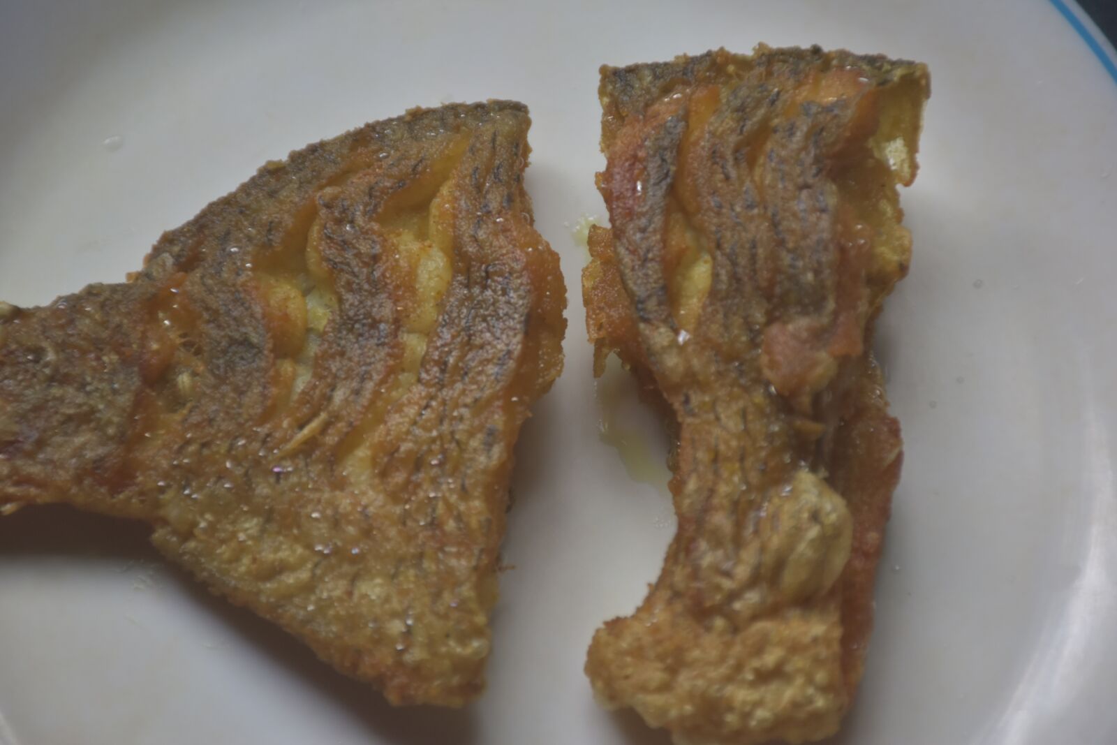Nikon D5600 sample photo. Talapiya, fish fry, fish photography