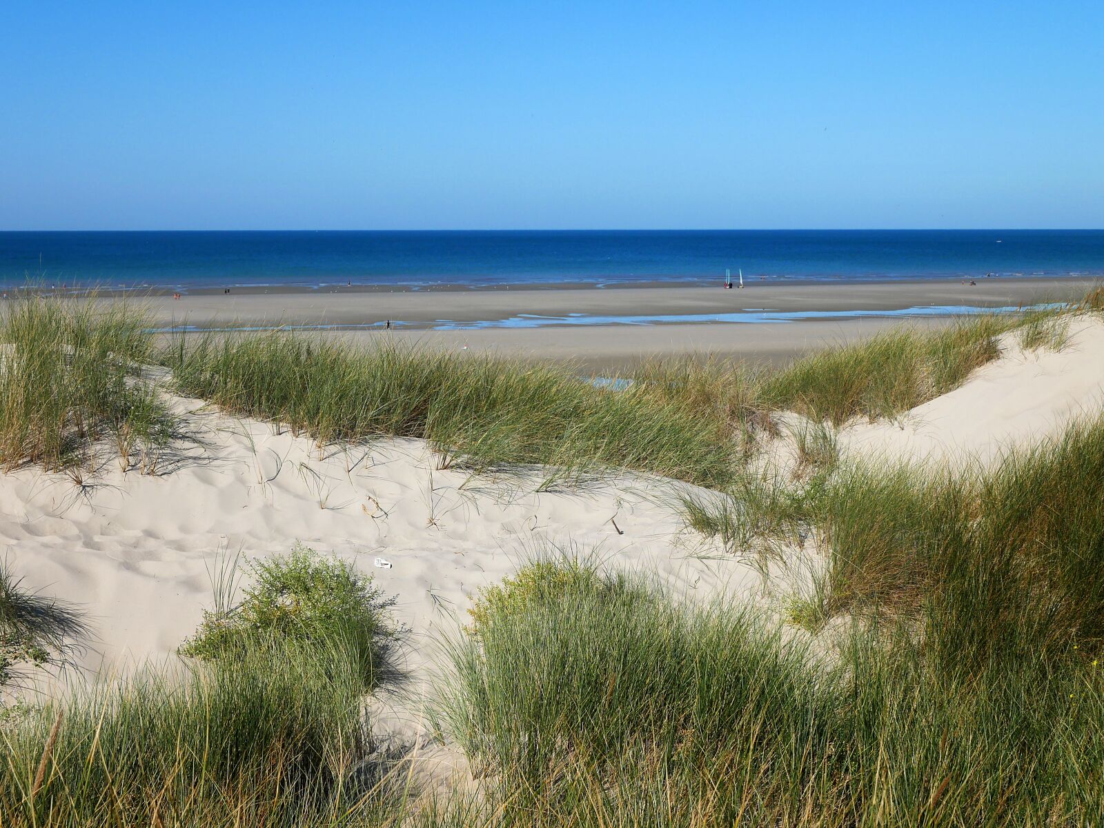 Panasonic Lumix DMC-GX85 (Lumix DMC-GX80 / Lumix DMC-GX7 Mark II) sample photo. Beach, north sea, gliding photography