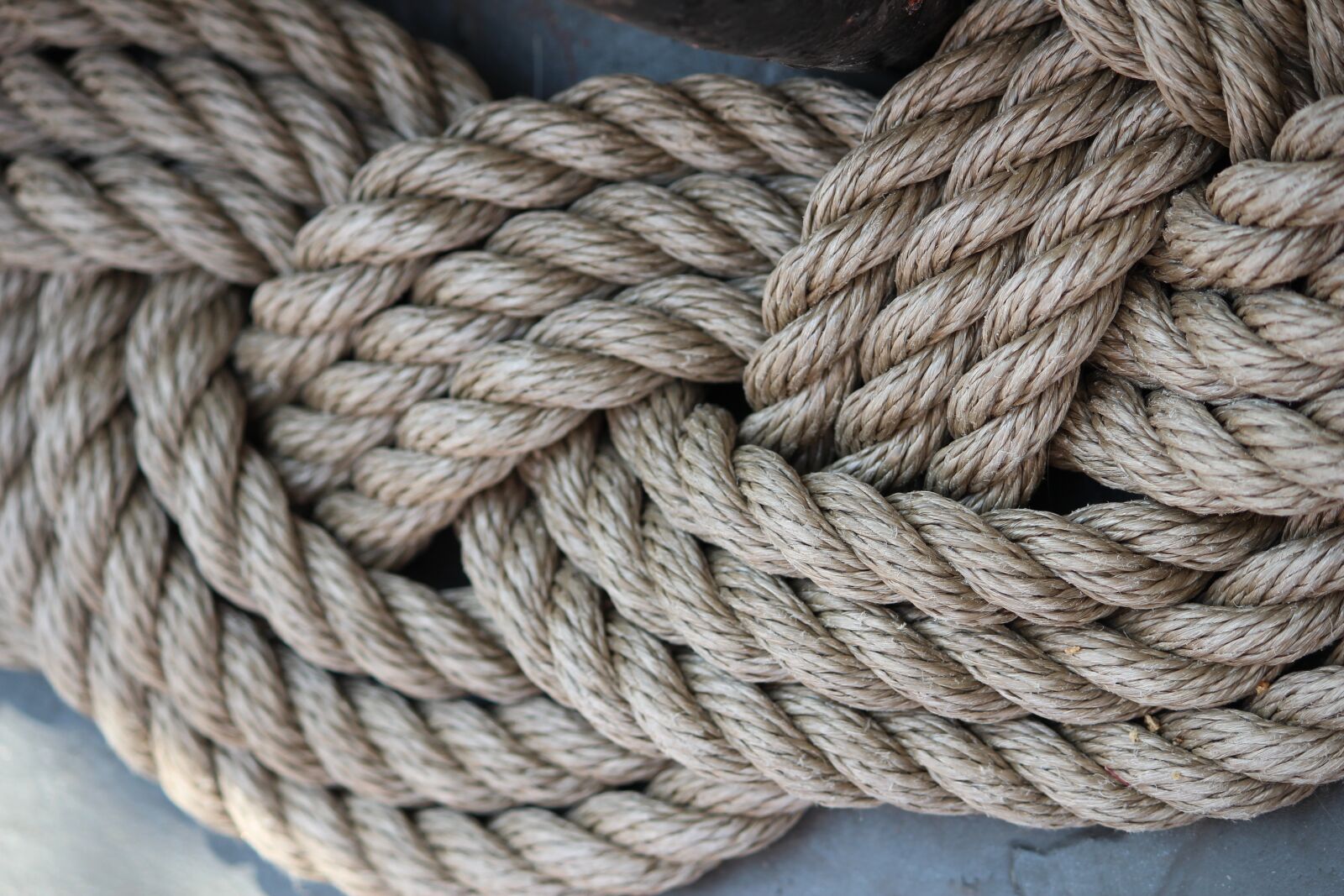 Canon EOS 600D (Rebel EOS T3i / EOS Kiss X5) sample photo. Knot, sail, sailing vessel photography