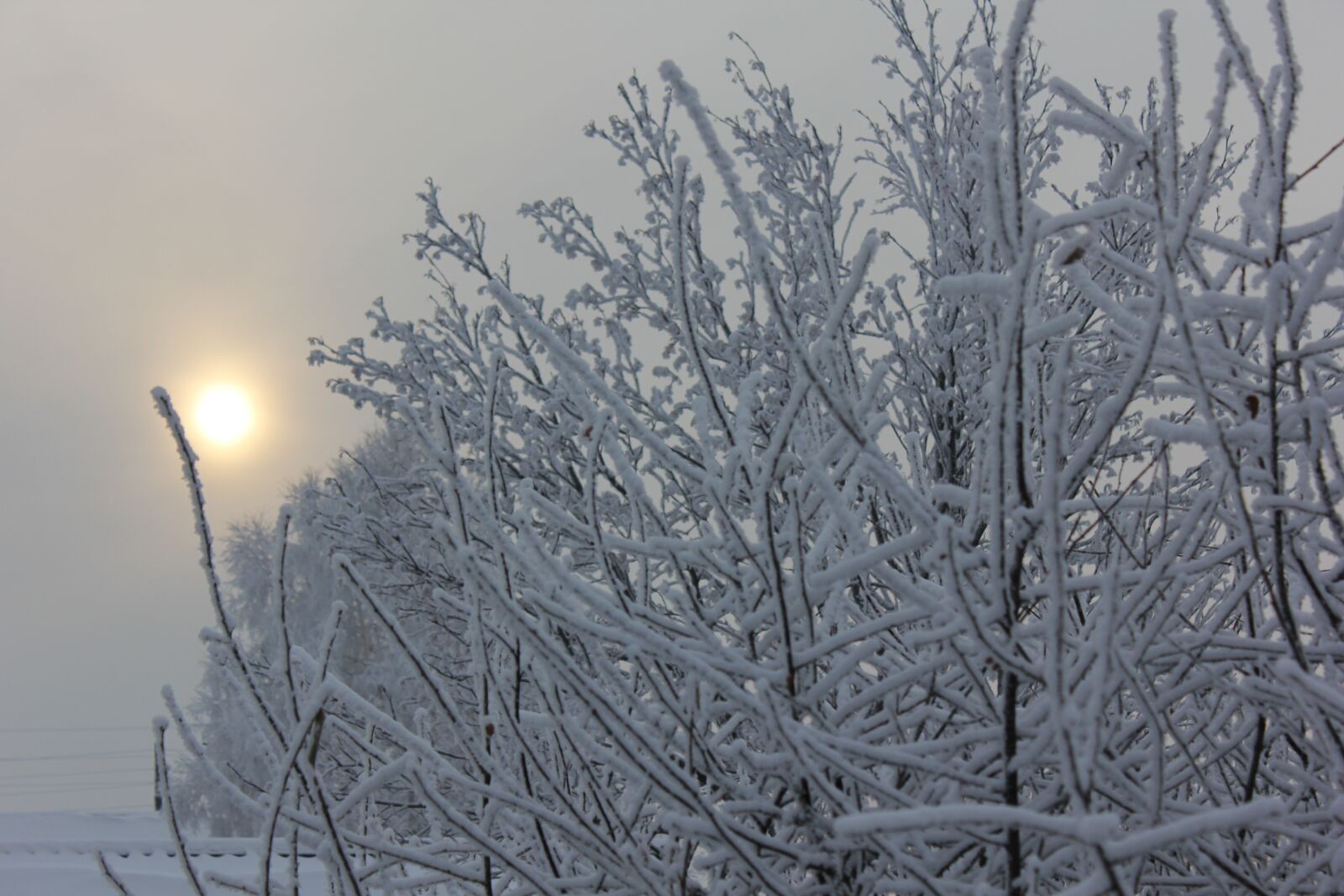 Canon EOS 60D sample photo. Winter, leann, sun photography