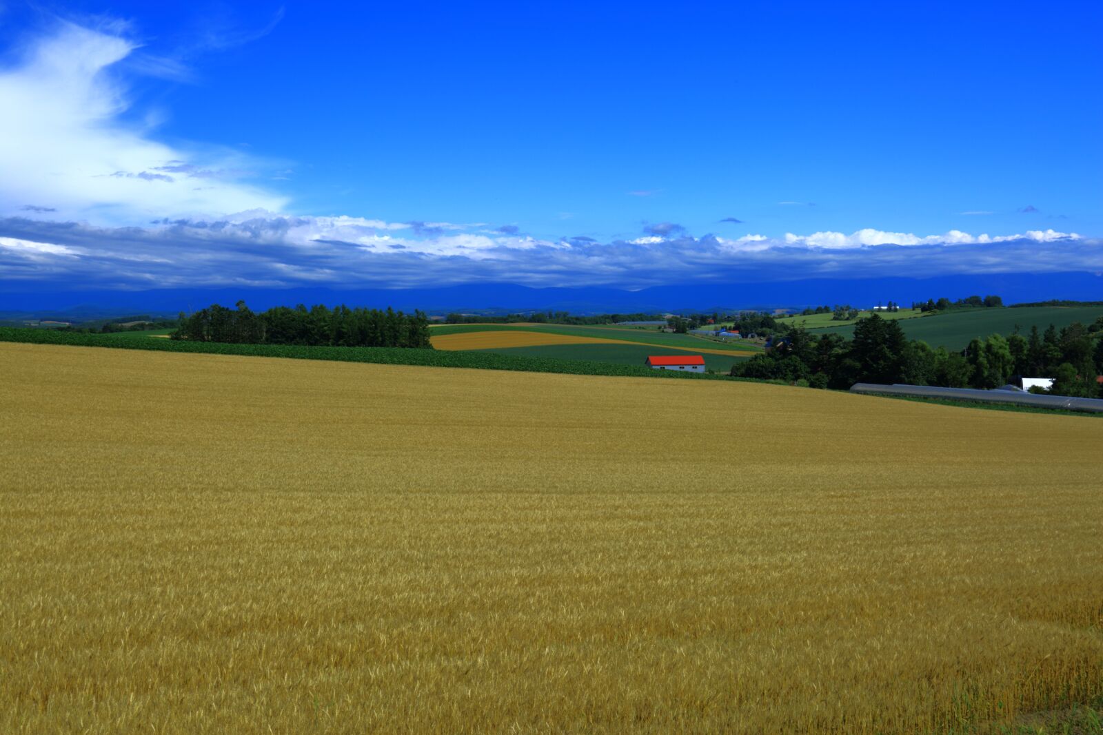 Canon EF 16-35mm F2.8L II USM sample photo. Autumn, wheat, wheat fields photography