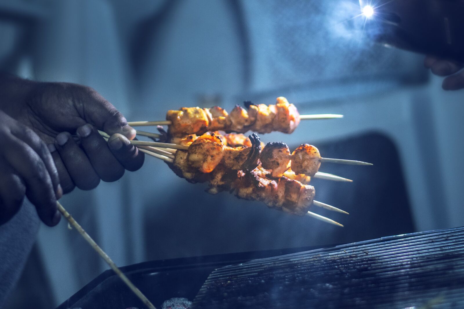 Nikon D3300 sample photo. Grilled, chicken, food photography