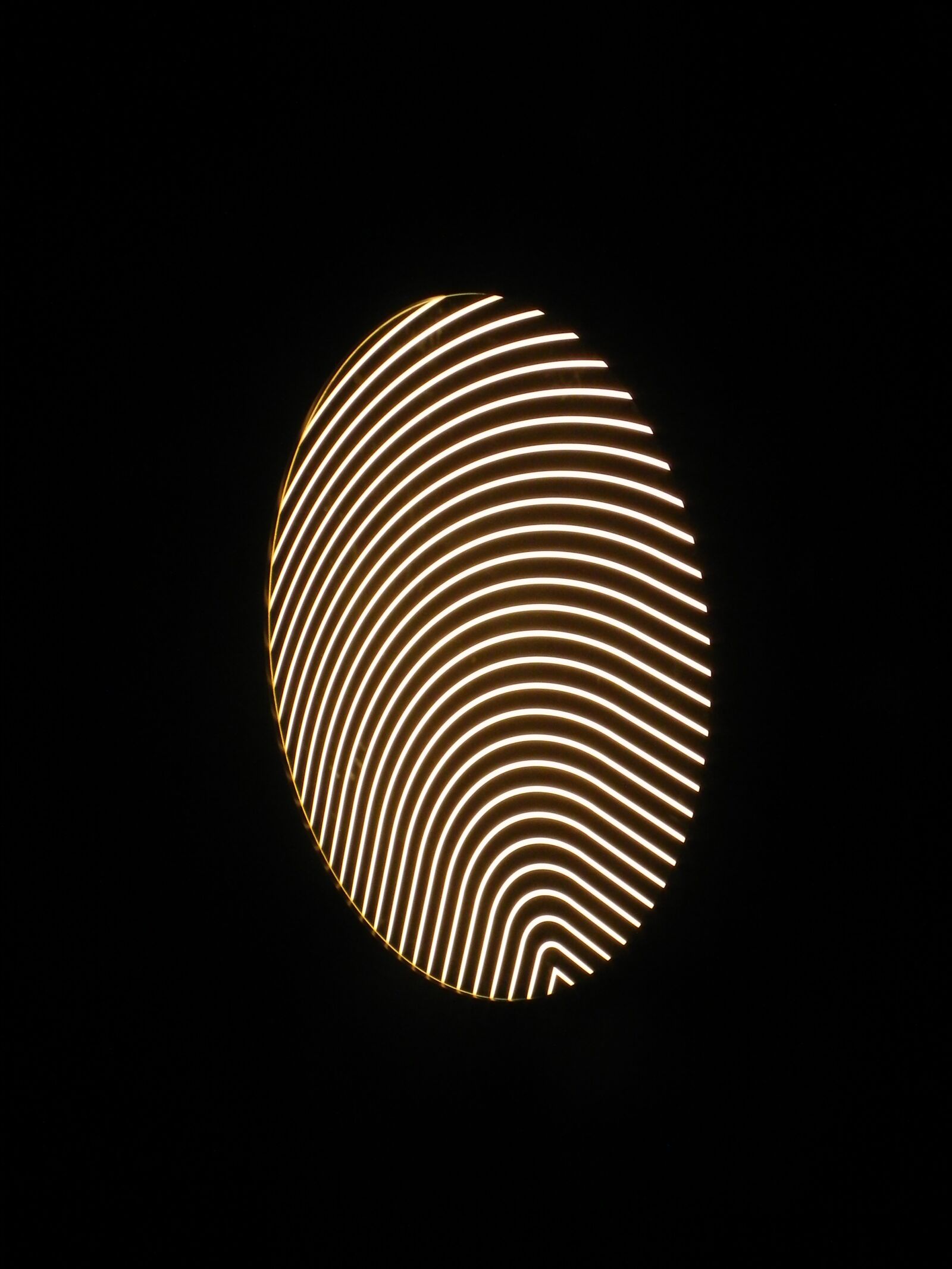 Nikon Coolpix P100 sample photo. Fingerprint, finger print, light photography