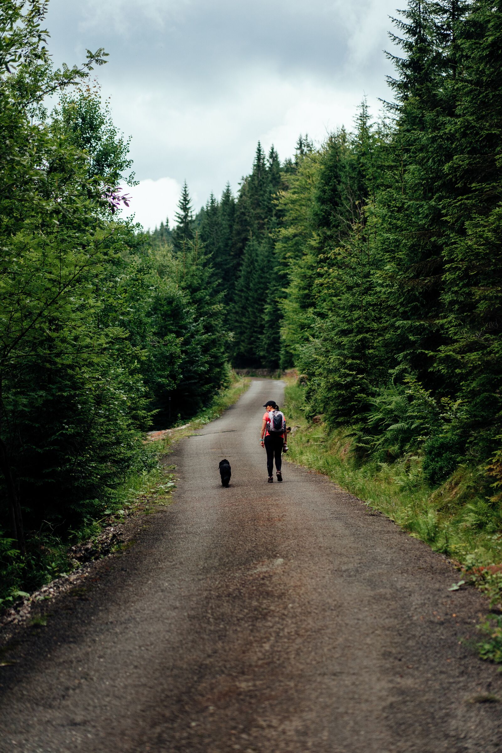 Sony a7 II + Sony Sonnar T* FE 55mm F1.8 ZA sample photo. Karkonosze, giant mountains, trail photography