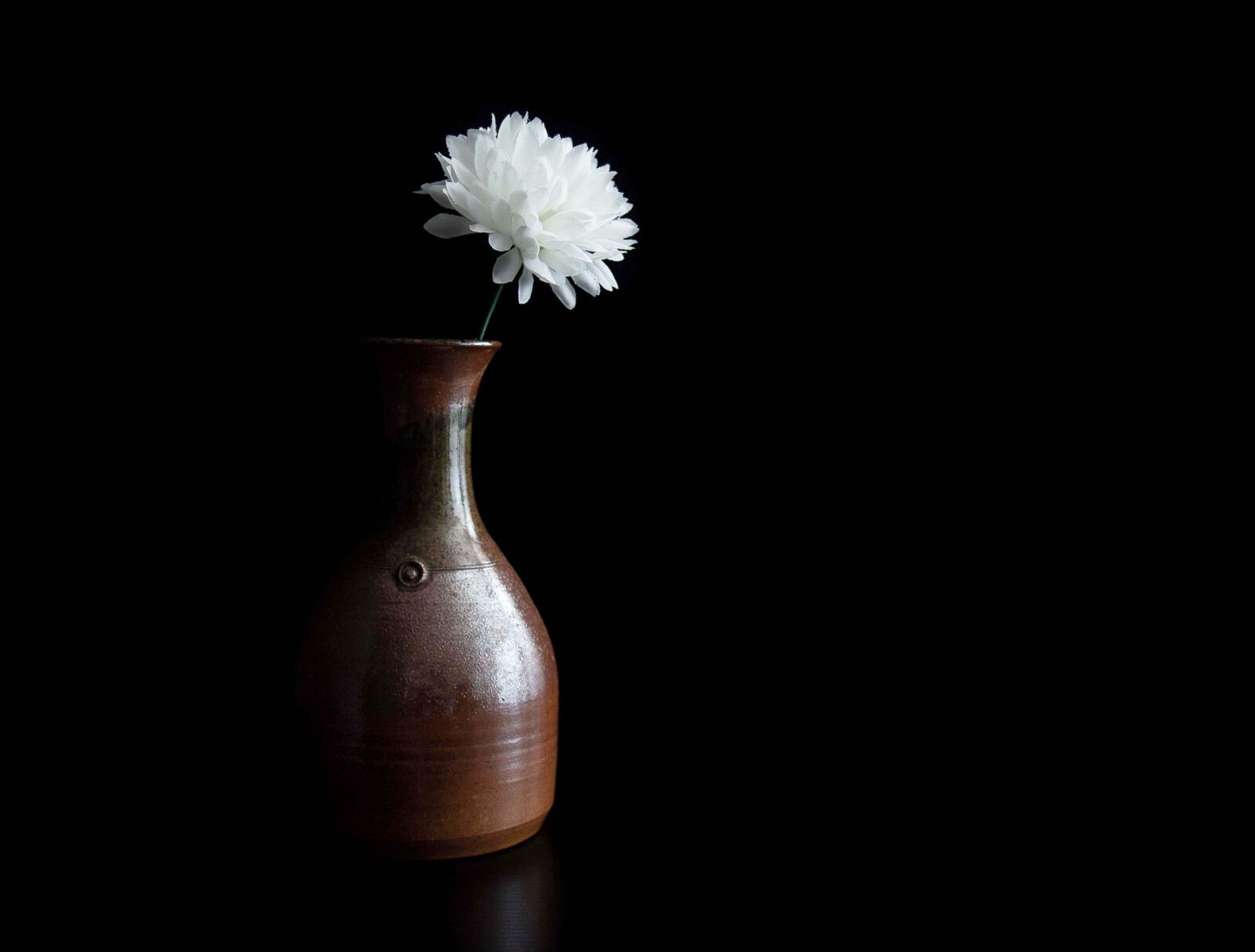 Olympus PEN E-P3 sample photo. Flower, vase, black background photography