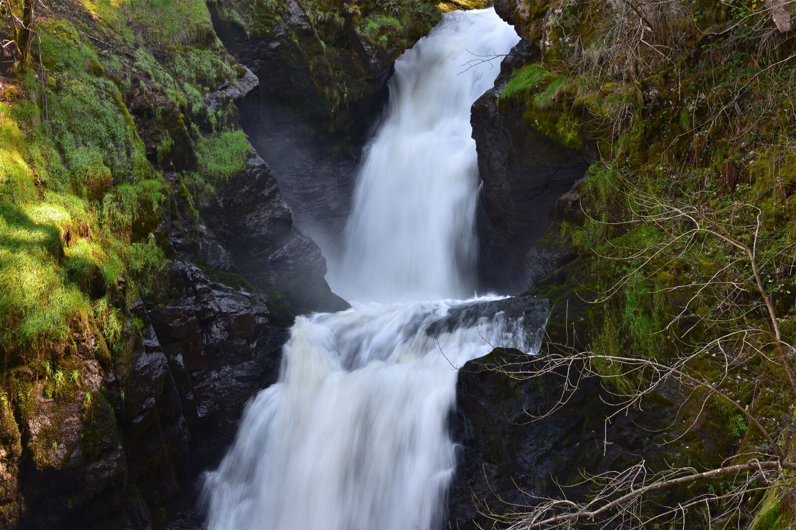 Nikon D5600 sample photo. Cascade, water, nature photography