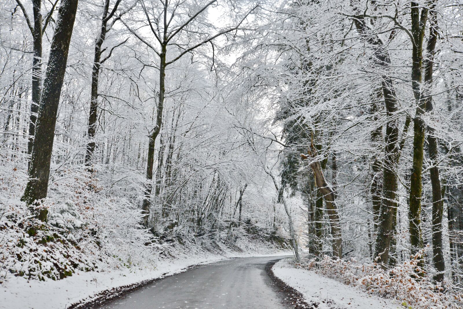Nikon D600 sample photo. Winter, snow, cold photography