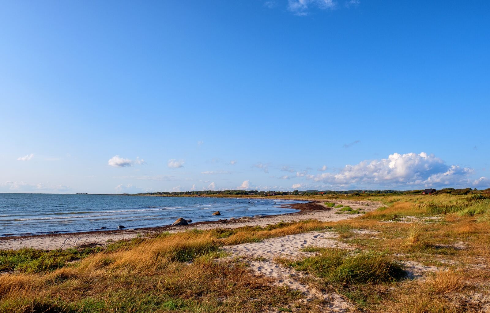 Fujifilm XF 16mm F1.4 R WR sample photo. Beach, coast, water photography