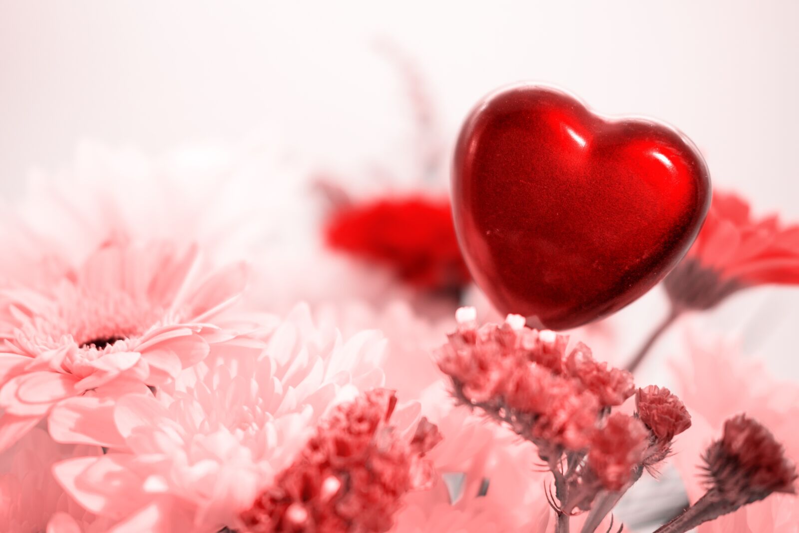 Fujifilm X-T2 sample photo. Heart, love, romance photography