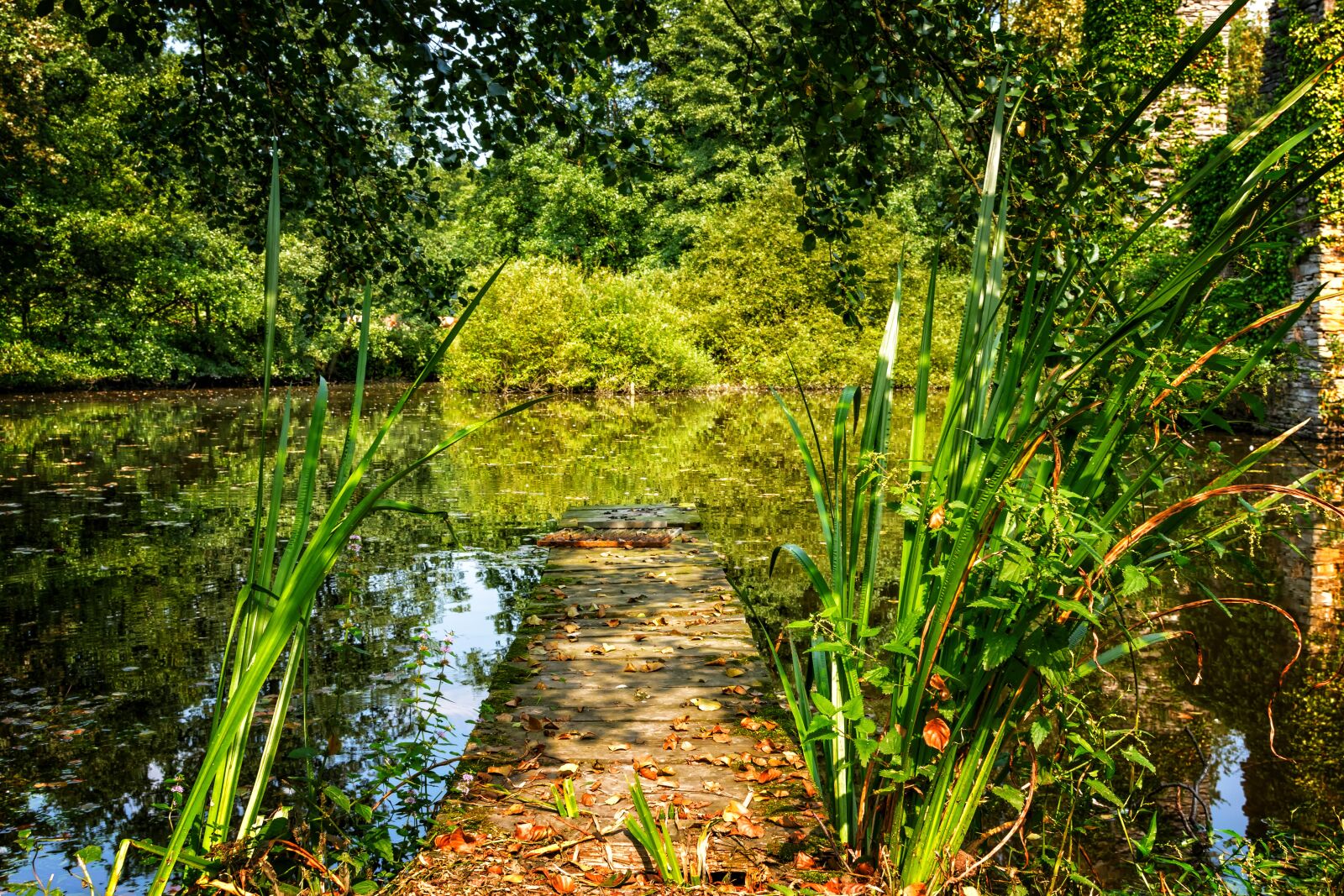Nikon D3300 sample photo. Nature, lake, pond photography