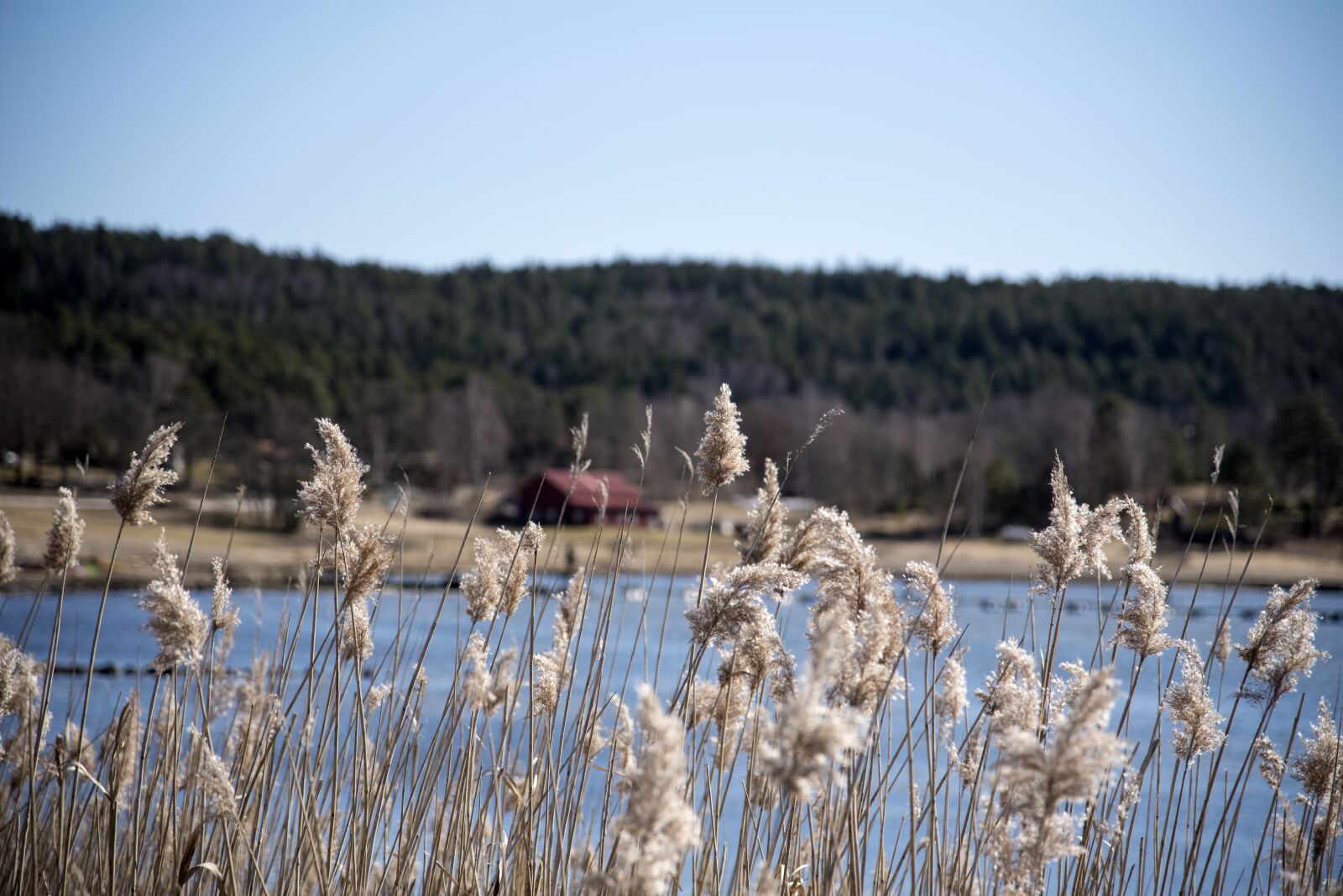 Nikon D750 sample photo. Nature, body of water photography