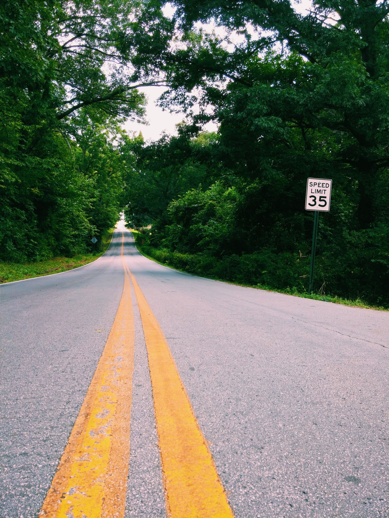 LG G3 sample photo. Road, trees, forest photography