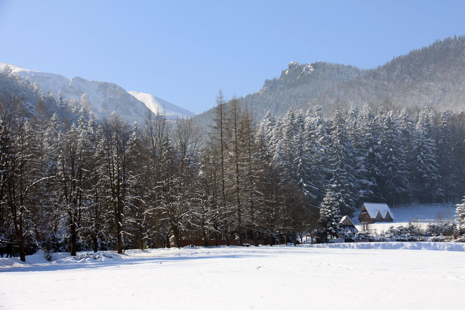 Canon EOS 50D sample photo. Snow, winter, cold photography