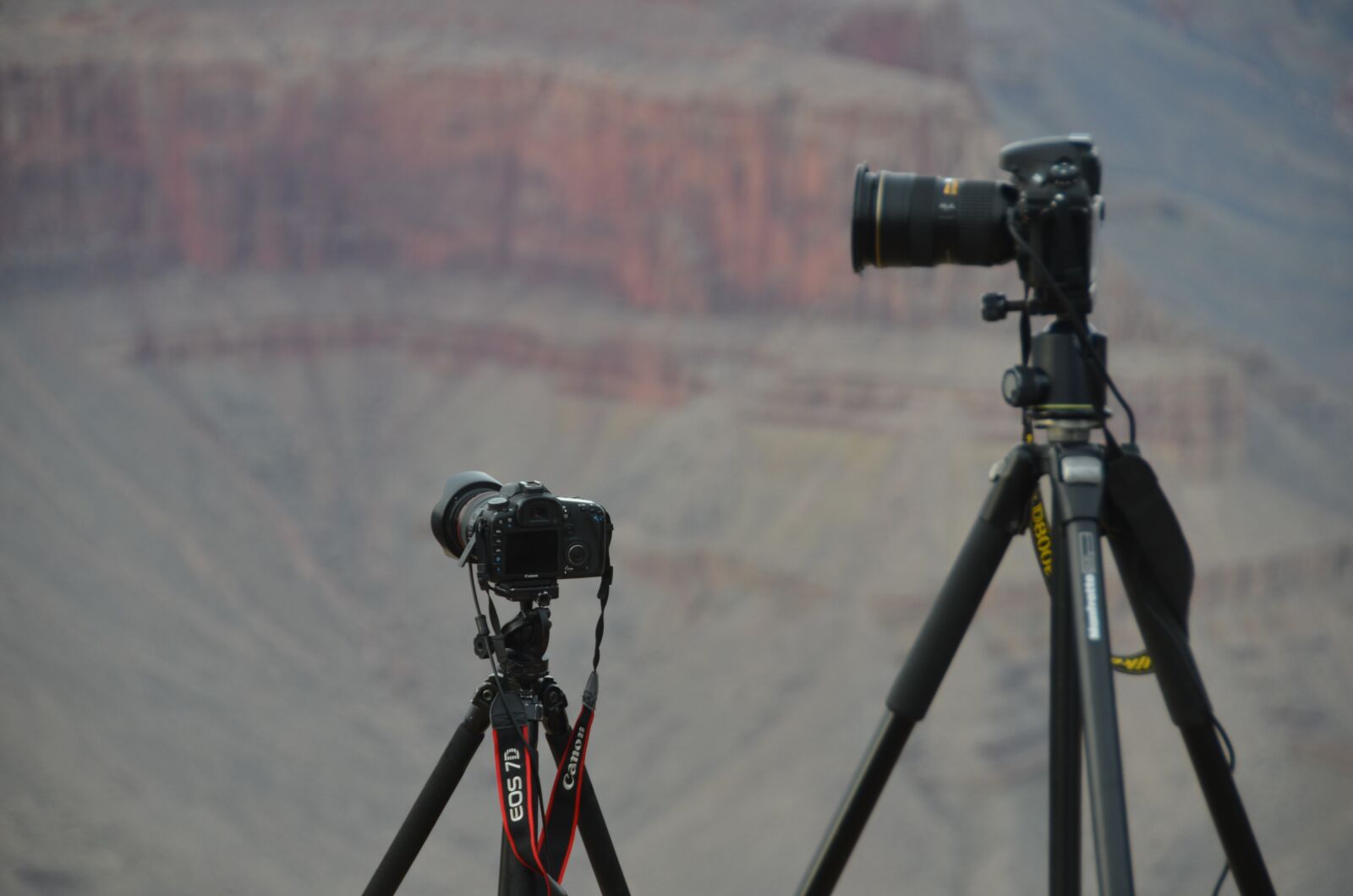 Nikon D7000 sample photo. Focus, lens, camera photography