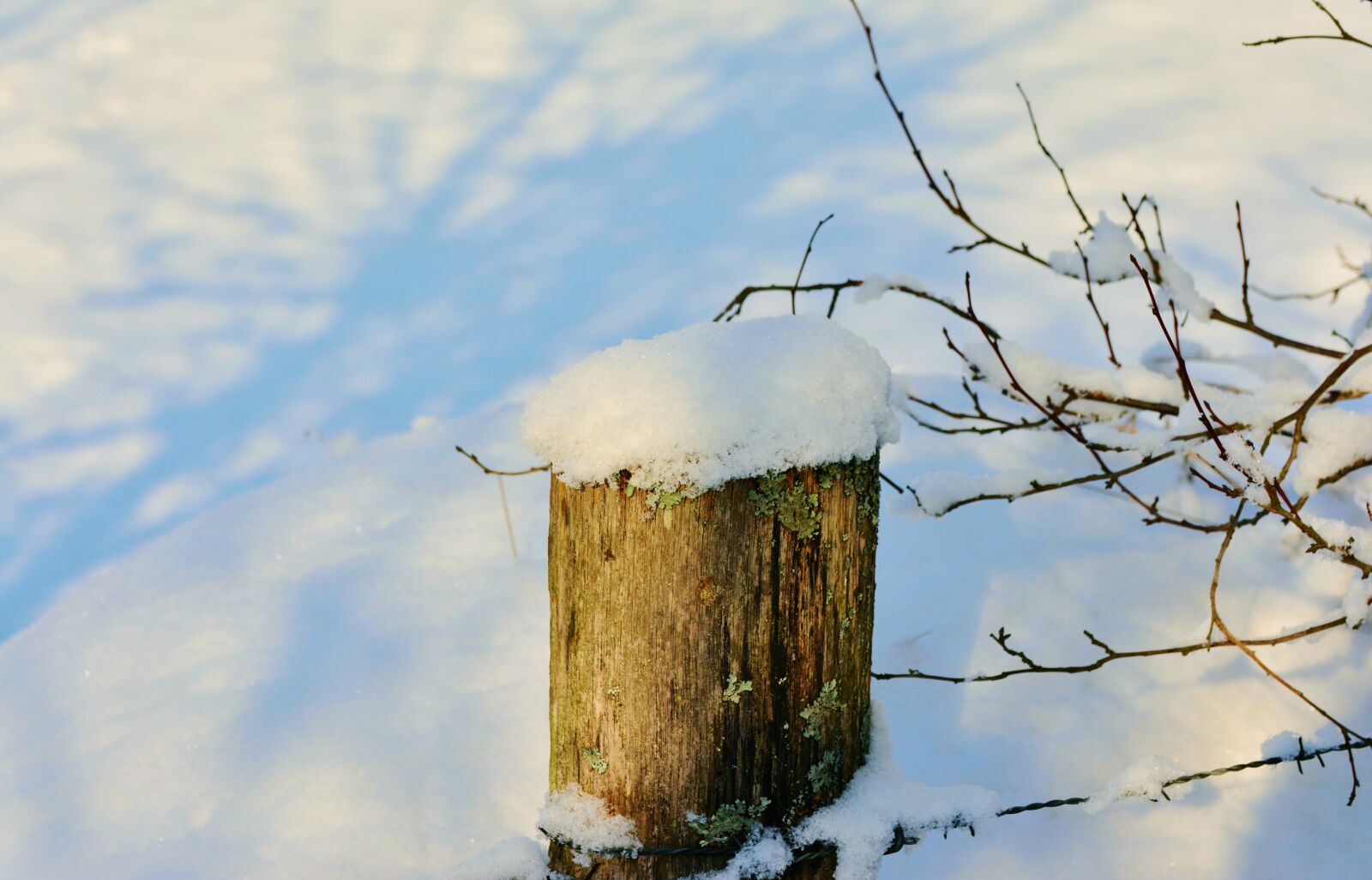 Nikon D5200 sample photo. Winter, fence post, snowy photography