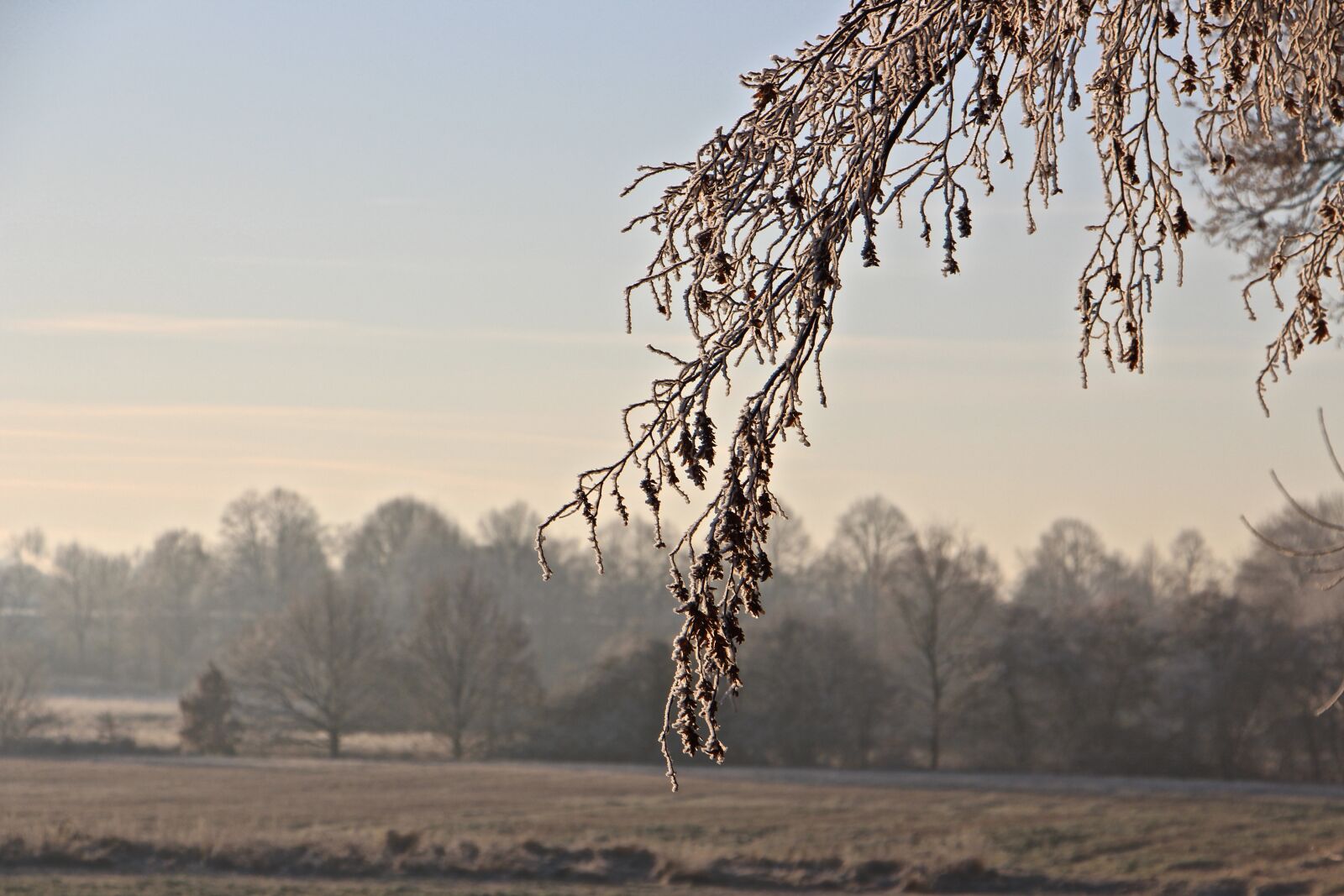 Canon EOS 700D (EOS Rebel T5i / EOS Kiss X7i) sample photo. Landscape, winter, frost photography