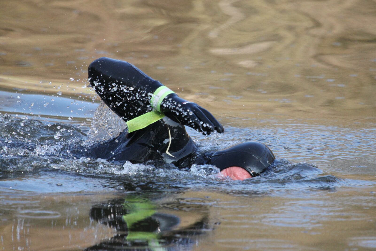 Canon EOS 500D (EOS Rebel T1i / EOS Kiss X3) sample photo. Divers, swimmer, swim photography