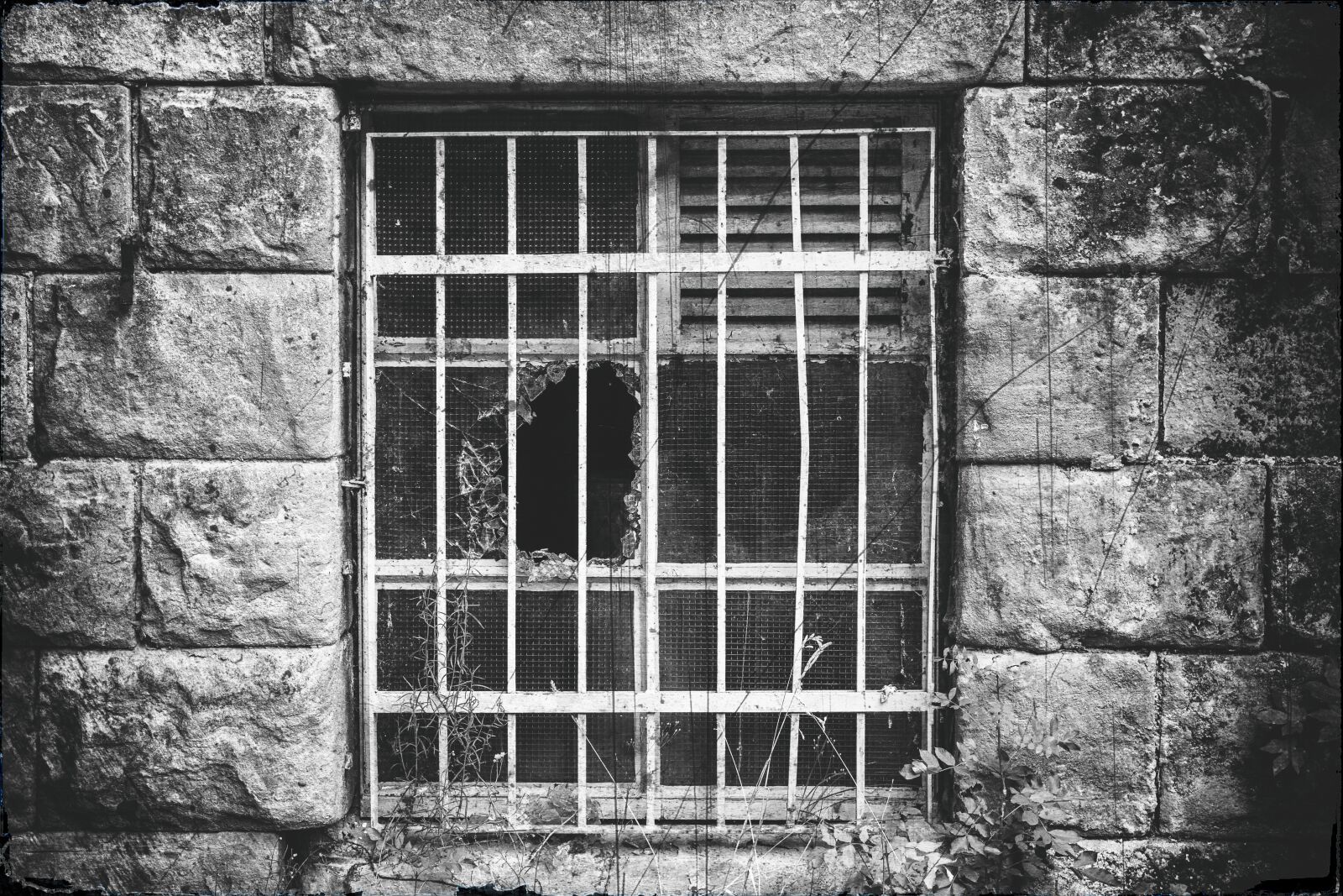 Nikon D3300 sample photo. Lost places, window, grid photography