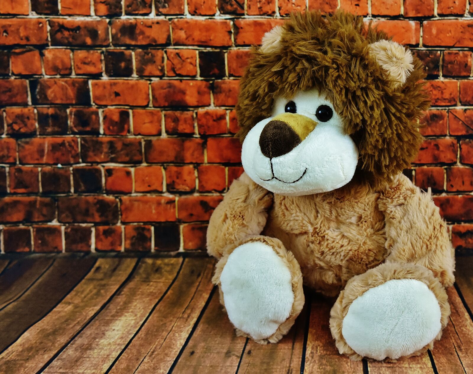 Nikon D7200 sample photo. Soft toy, lion, stuffed photography