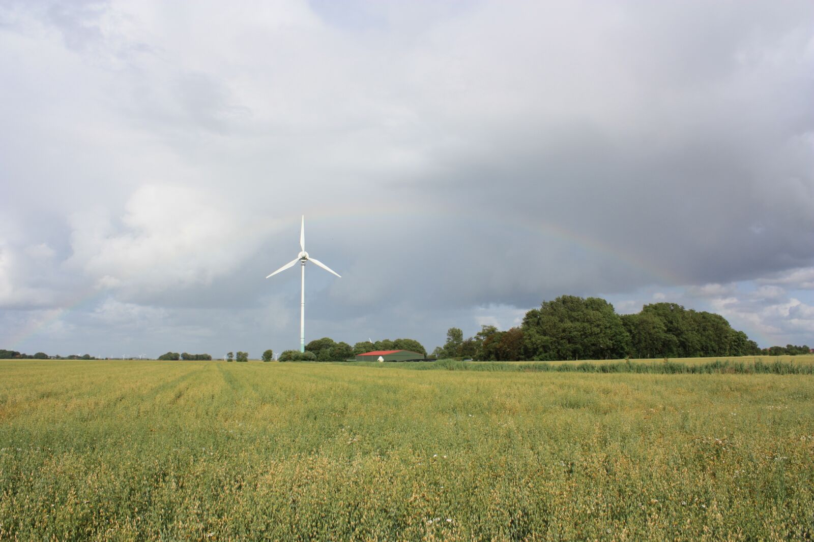 Canon EOS 450D (EOS Rebel XSi / EOS Kiss X2) sample photo. Wind, pinwheel, field photography