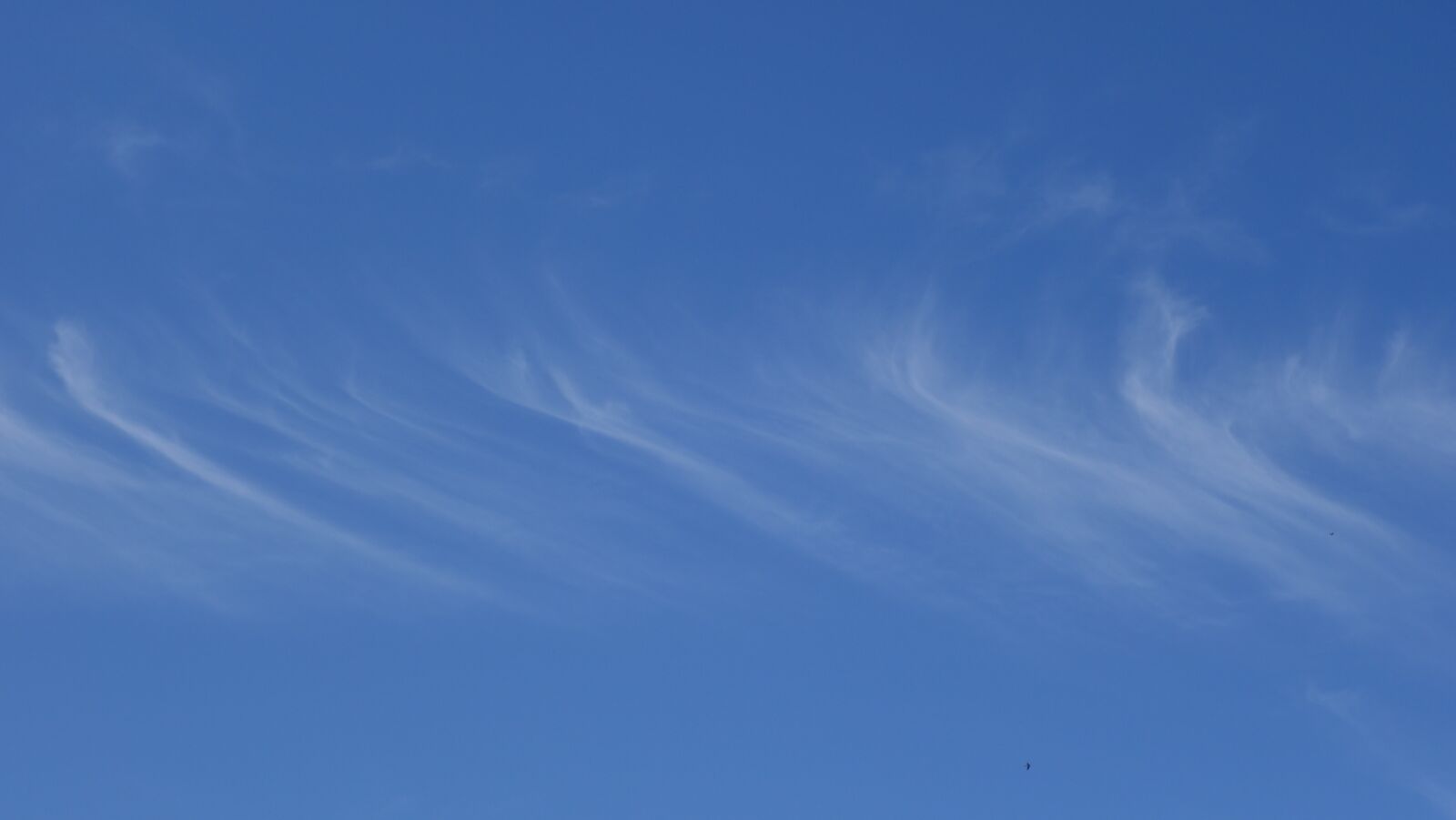 Sony Cyber-shot DSC-RX100 II sample photo. Cirrus, clouds, filaments photography