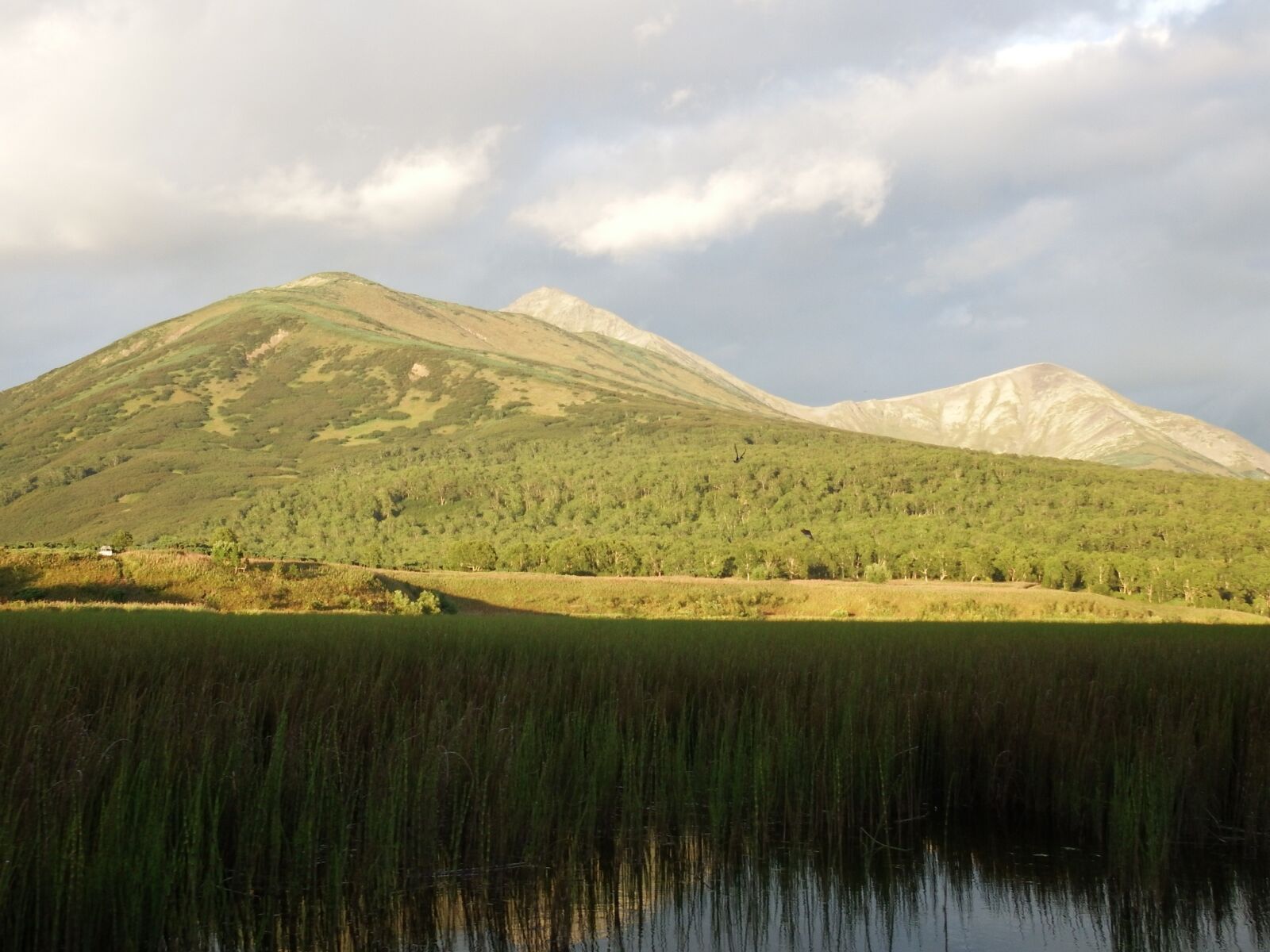 Fujifilm FinePix S1 sample photo. Mountains, evening, summer landscape photography