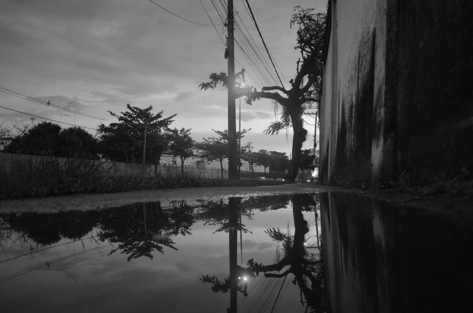 Nikon D5100 sample photo. Flying, black and white photography