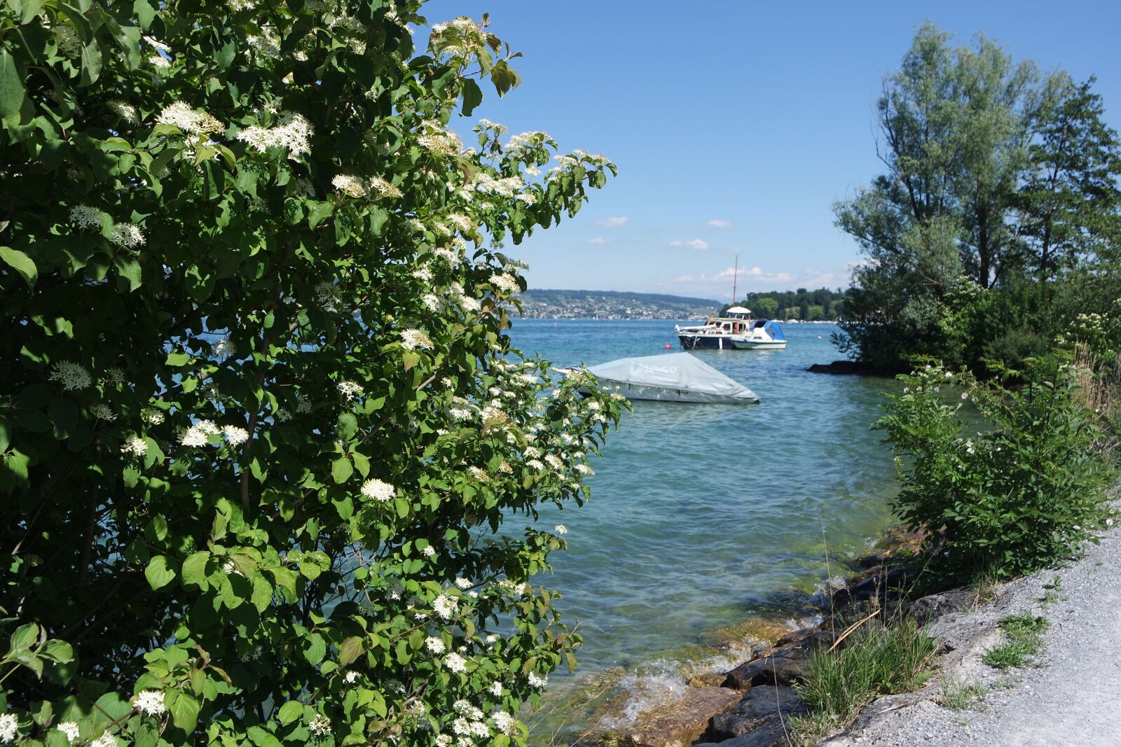 Samsung NX 16-50mm F3.5-5.6 Power Zoom ED OIS sample photo. Zurich, peninsula au, lake photography