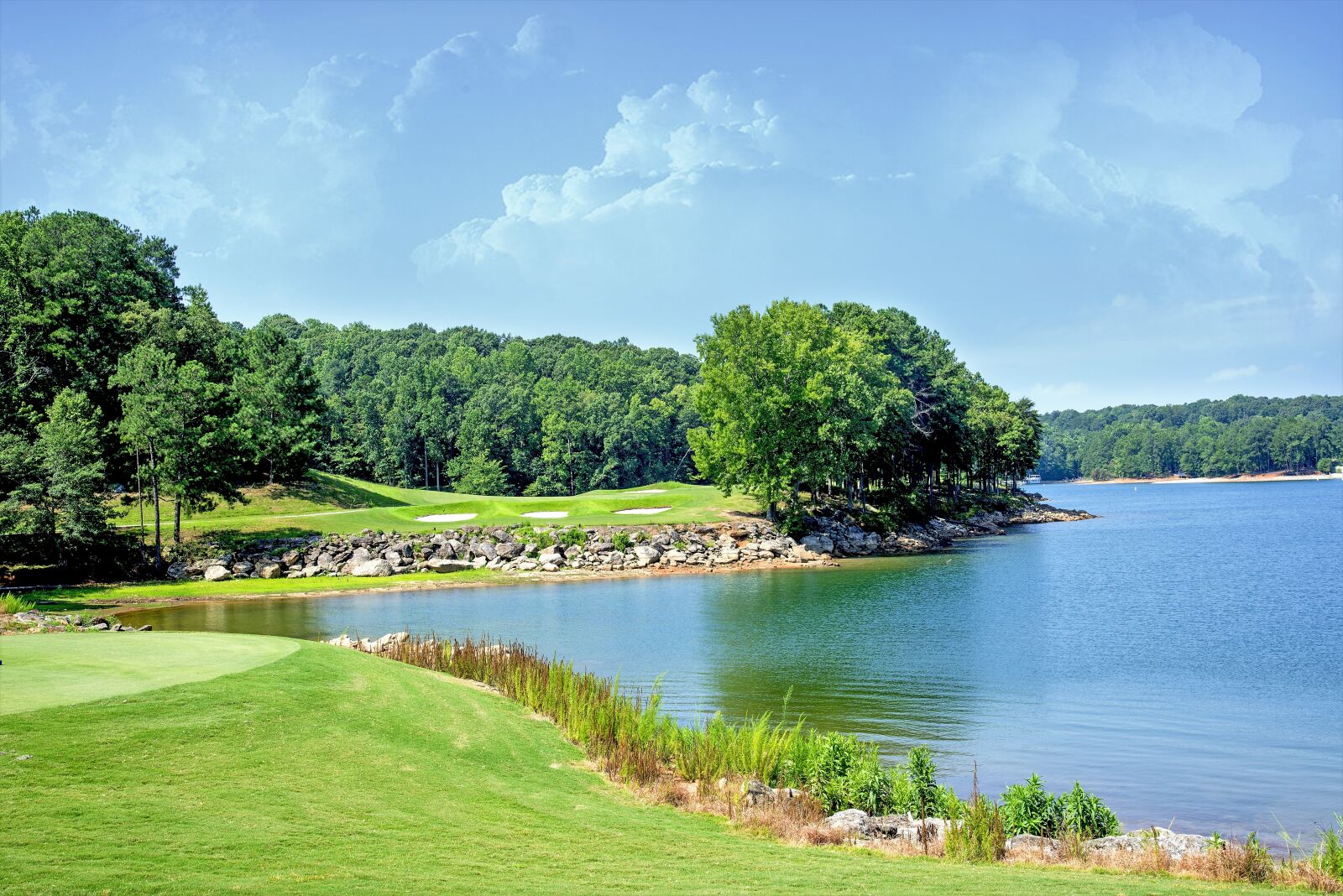 Nikon D610 sample photo. Lake lanier, lake, water photography