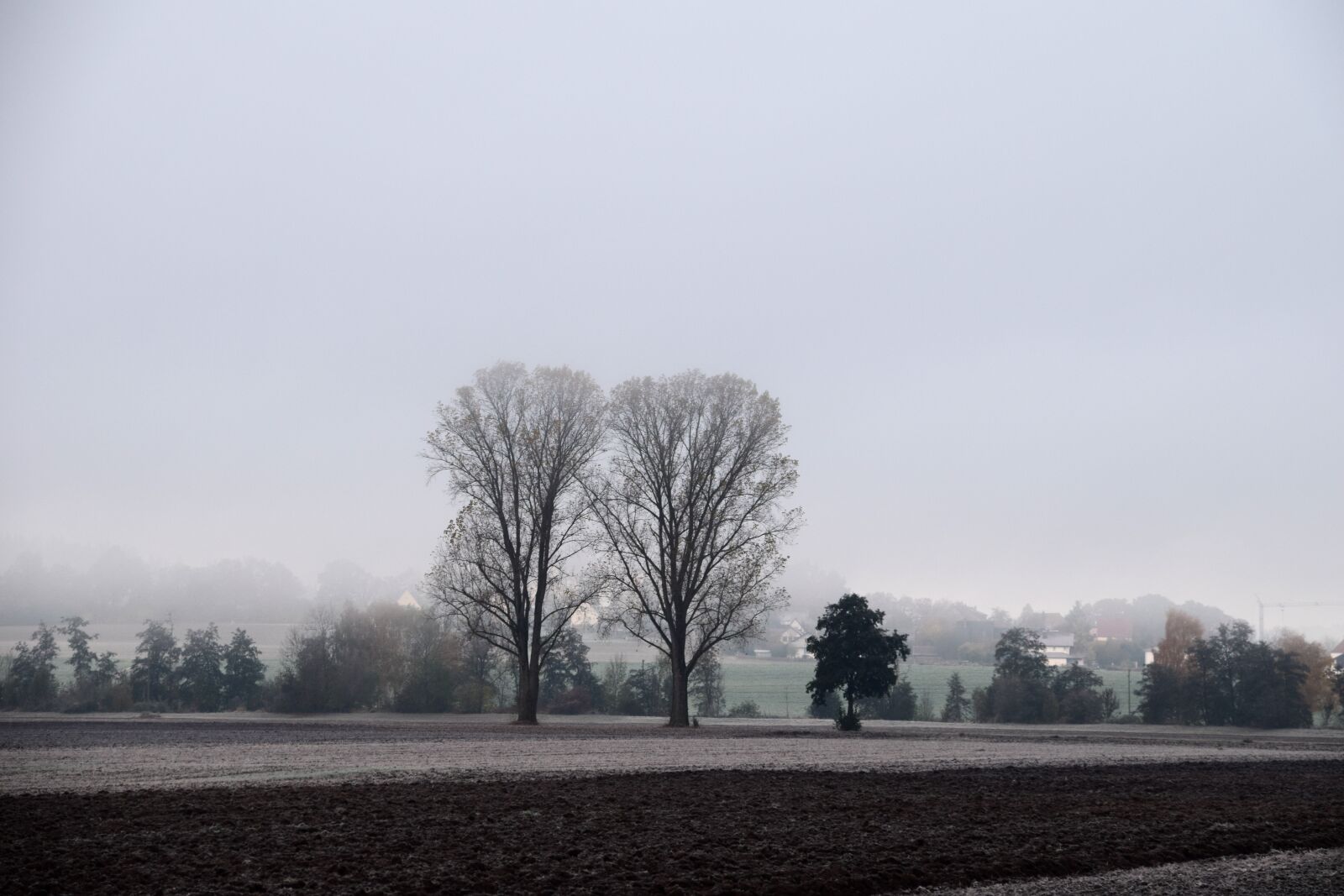 Nikon D3300 sample photo. November, trees, landscape photography