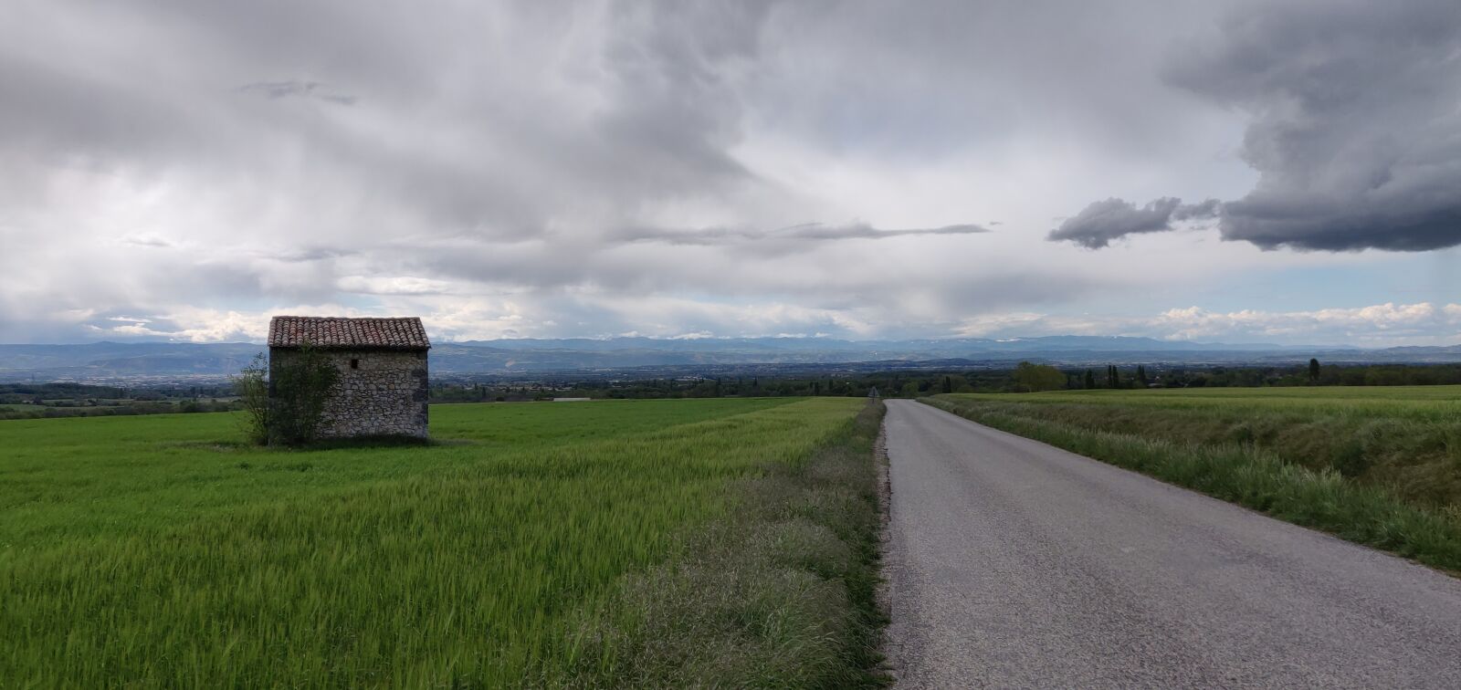 OnePlus 6 sample photo. Field, rain, green photography