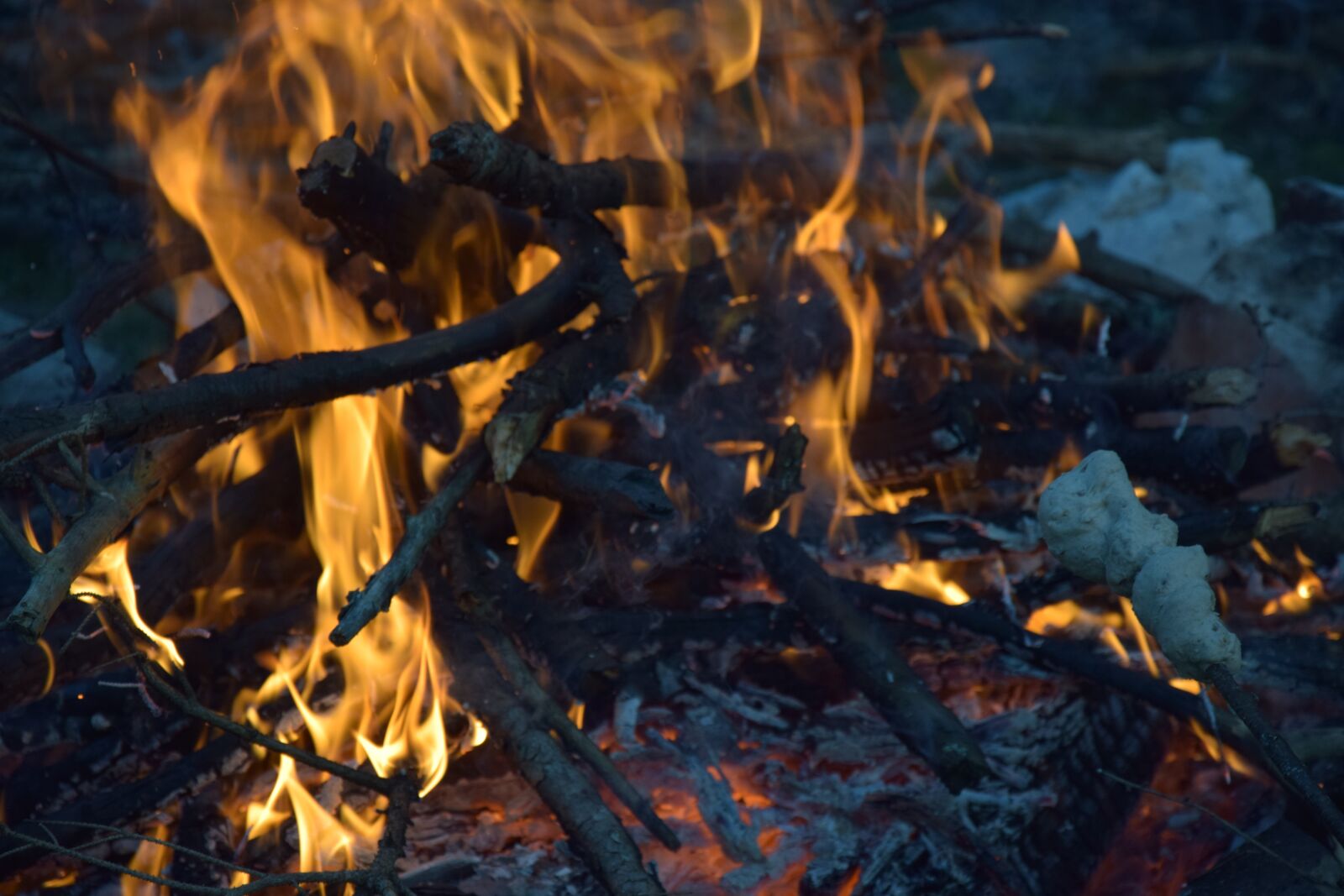 Nikon D3300 sample photo. Fire, nature, night photography