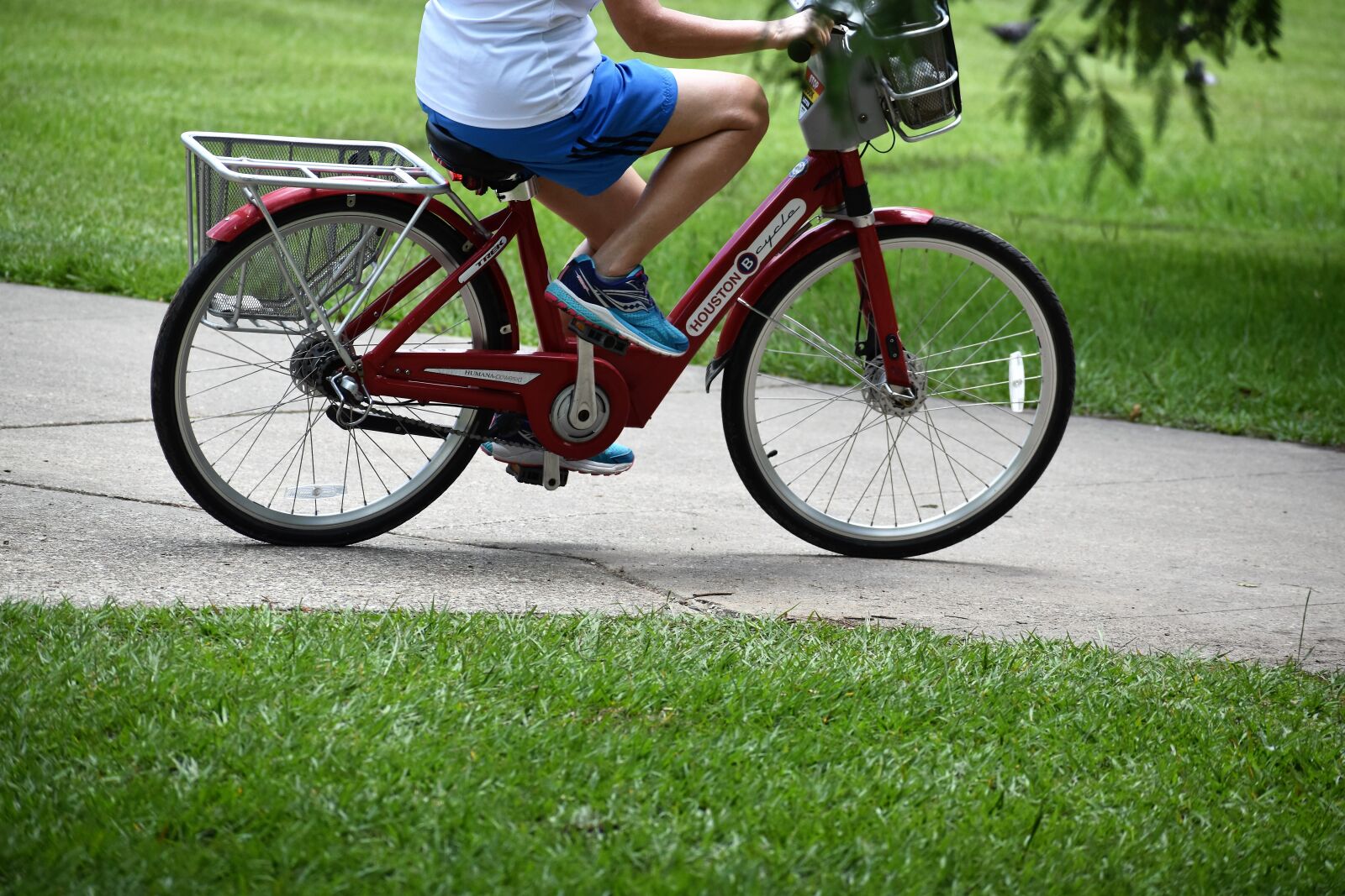 Nikon D3500 sample photo. Bike rental, bicycle, cycling photography