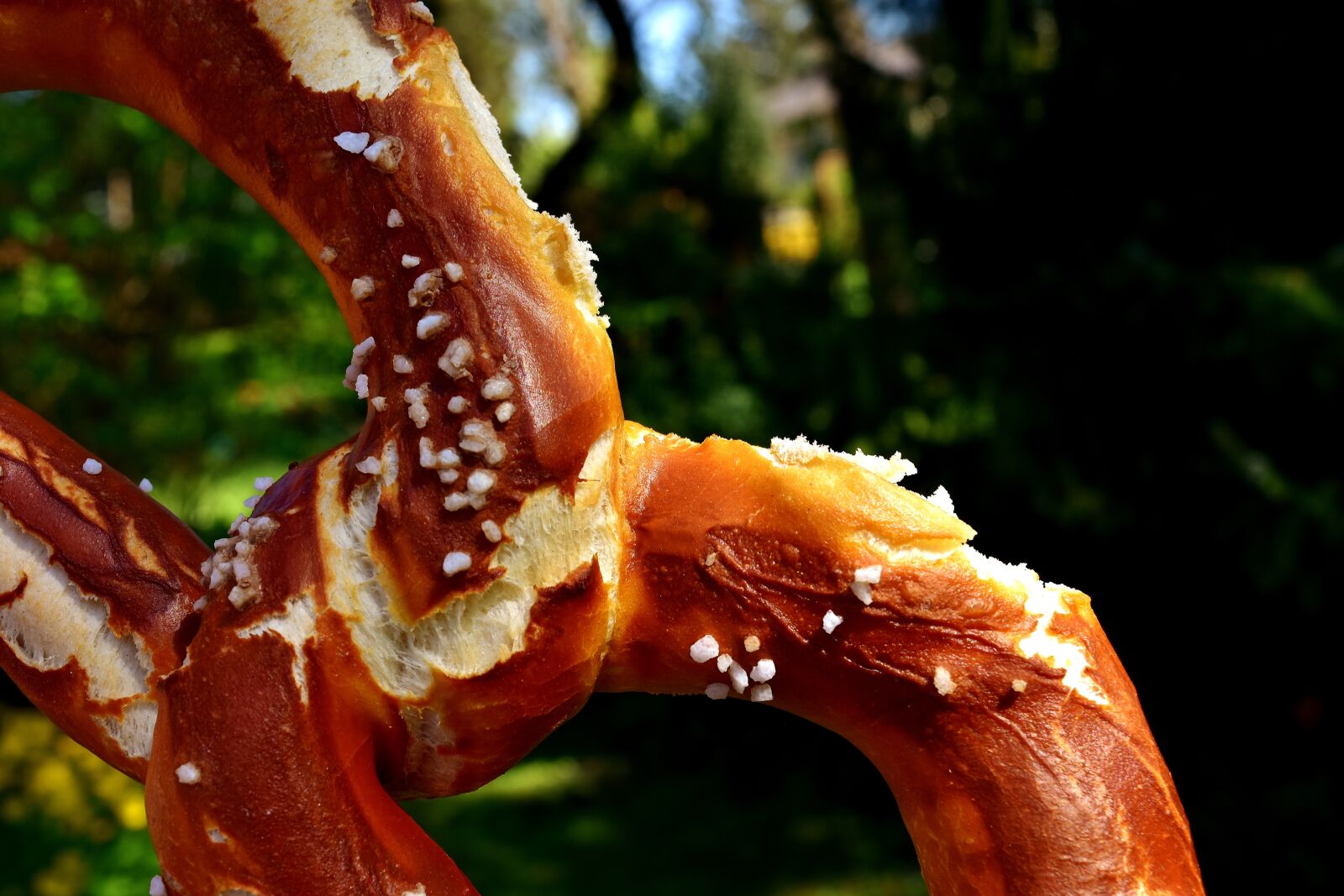 Nikon D7200 sample photo. Wiesnbreze, breze, pretzel photography