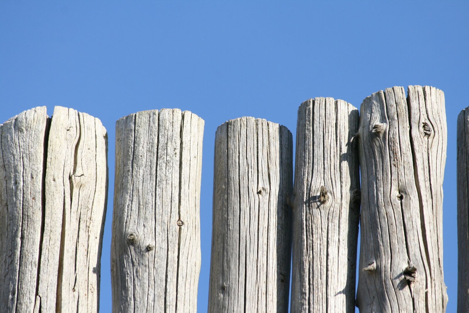Canon EOS 400D (EOS Digital Rebel XTi / EOS Kiss Digital X) sample photo. Poles, wood, fence photography