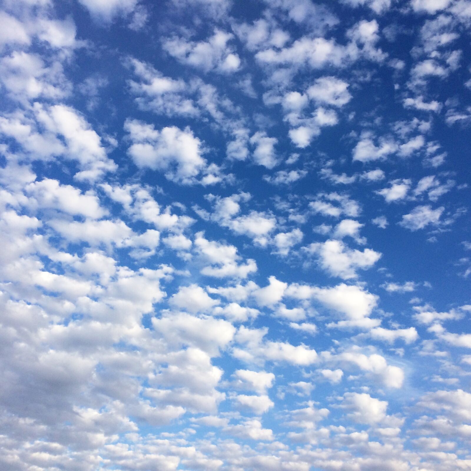 iPhone 5s back camera 4.15mm f/2.2 sample photo. Clouds, sky, blue photography